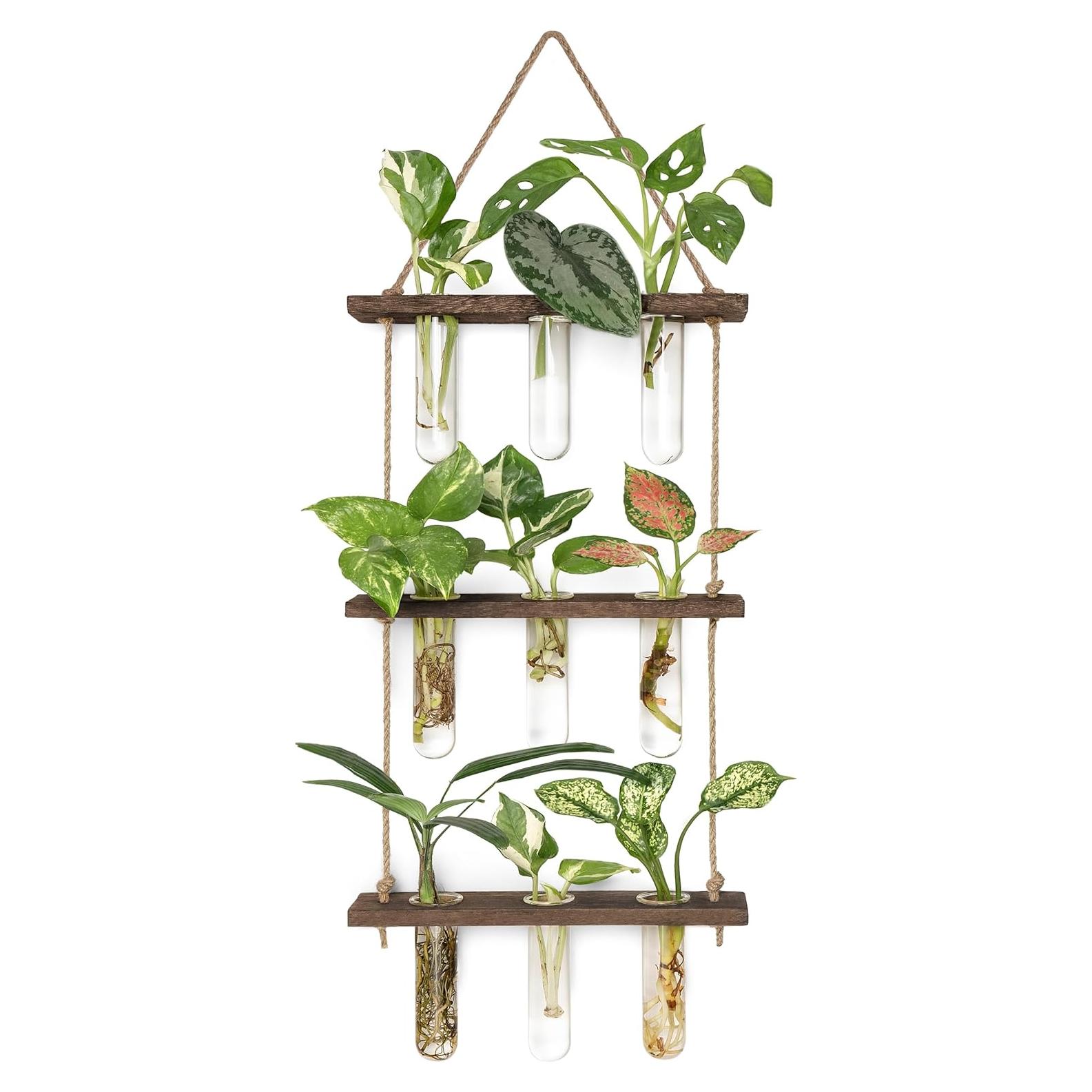 Propagador de Plantas Mkono, Terrario Colgante 3 Niveles, Marrón