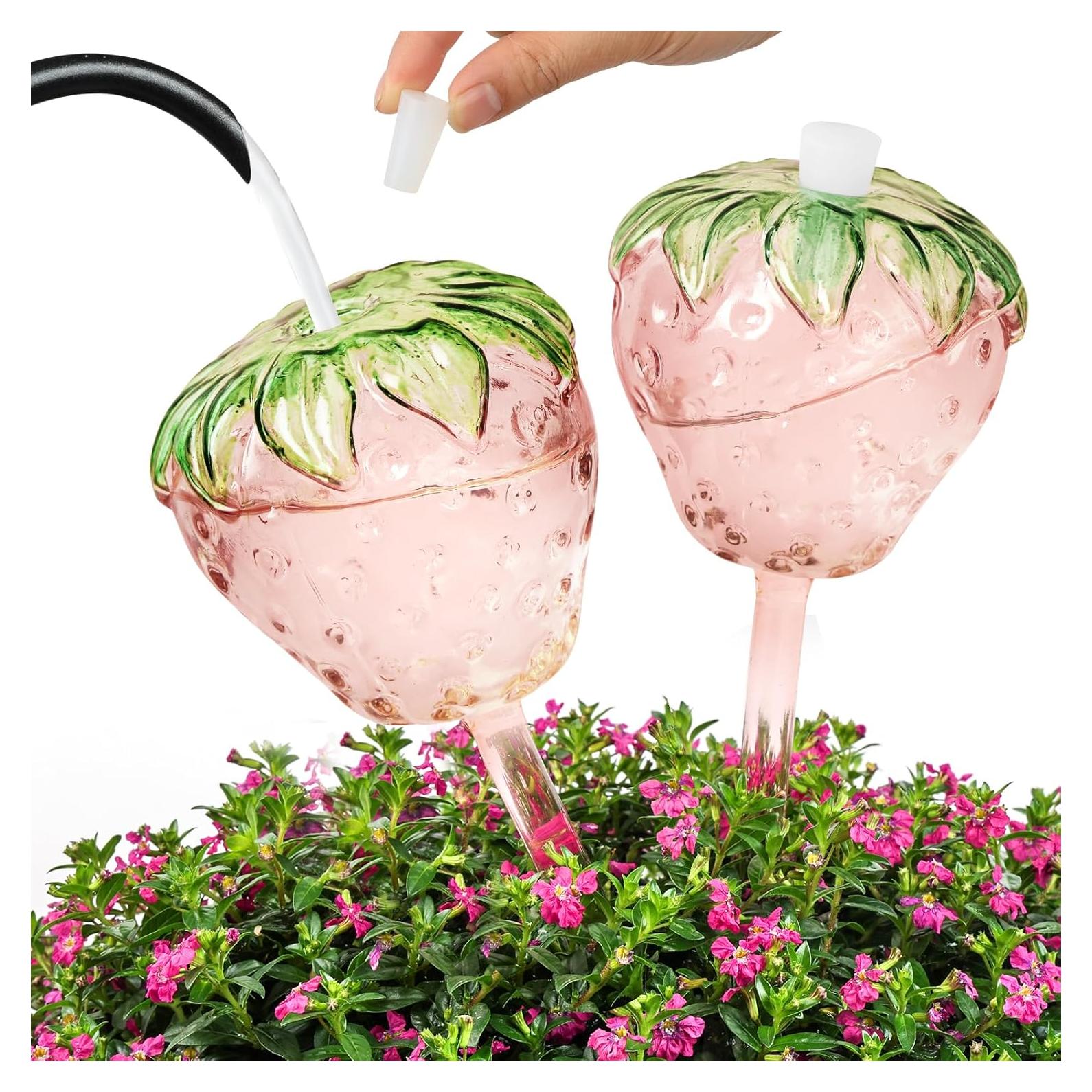 Juego de 2 Esferas de Riego Automático de Vidrio para Plantas