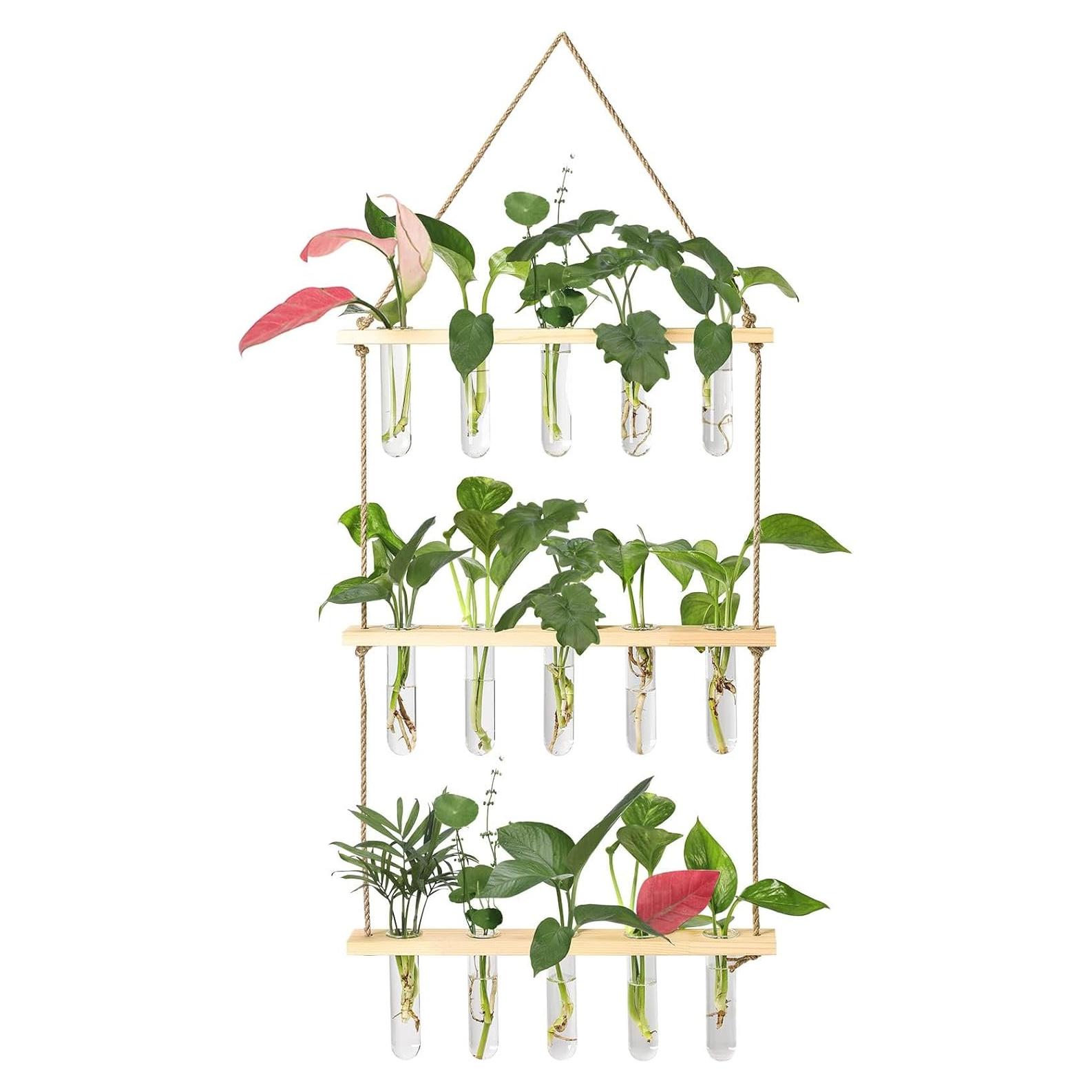 Estación de Propagación de Pared XXXFLOWER con 5 Tubos de Vidrio