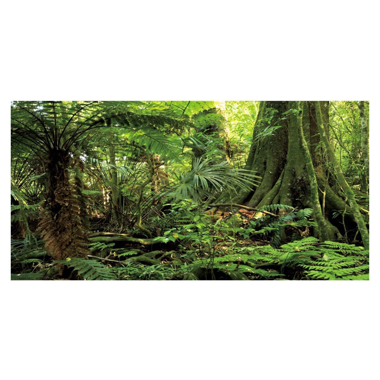 Fondo de Acuario Terrario AWERT 60x30 cm Verde Bosque