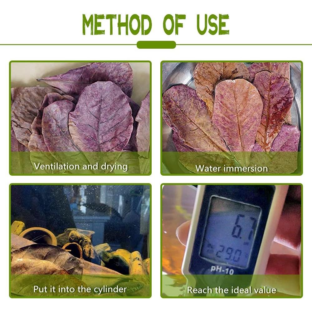 Hojas de Catappa para Peces LeonBach 100 Pcs 250g 12.7-20.32 cm