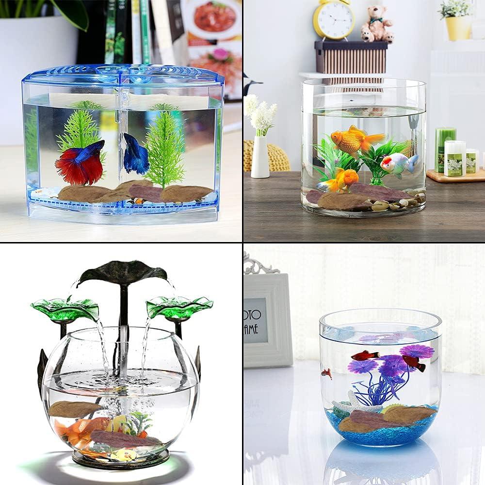 Hojas de Catappa para Peces LeonBach 100 Pcs 250g 12.7-20.32 cm