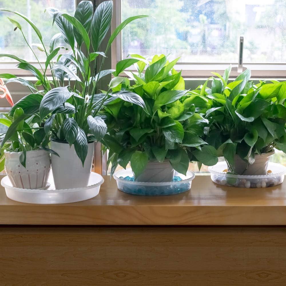 MUDEELA Paquete de 6 Platillos Redondos de 15 cm para Macetas