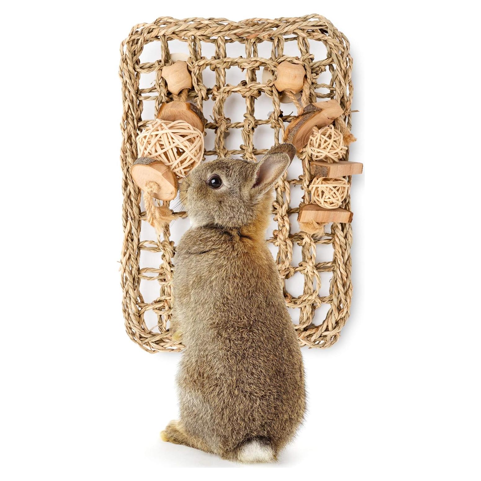 Alfombra Protectora de Hierba Marina Andwe con Juguetes 28x20cm