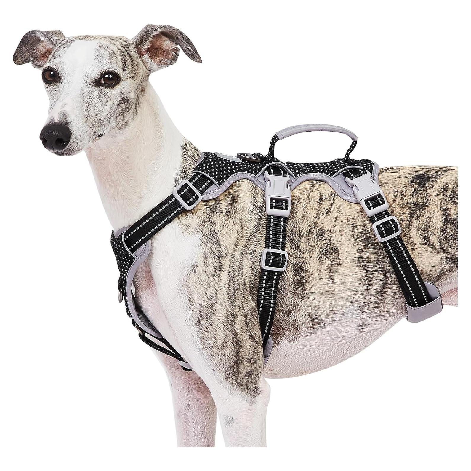 Arnés para Perros HUNTBOO XS Negro Reflectante Ajustable