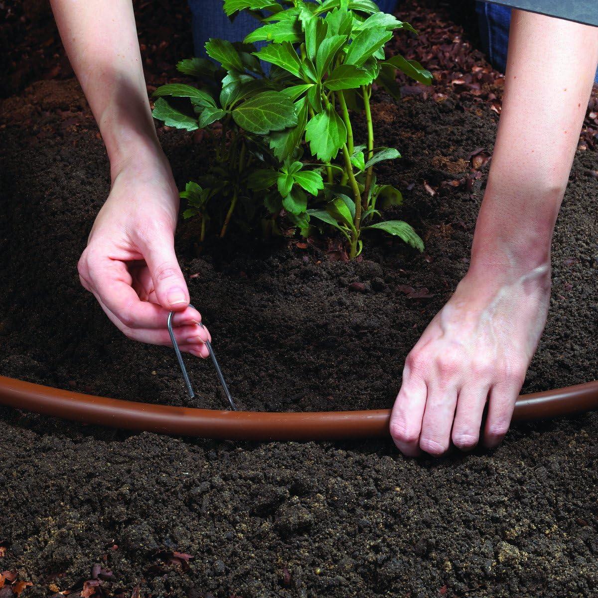 Kit de Riego por Goteo Raindrip SDFSTH1P para 10 Plantas