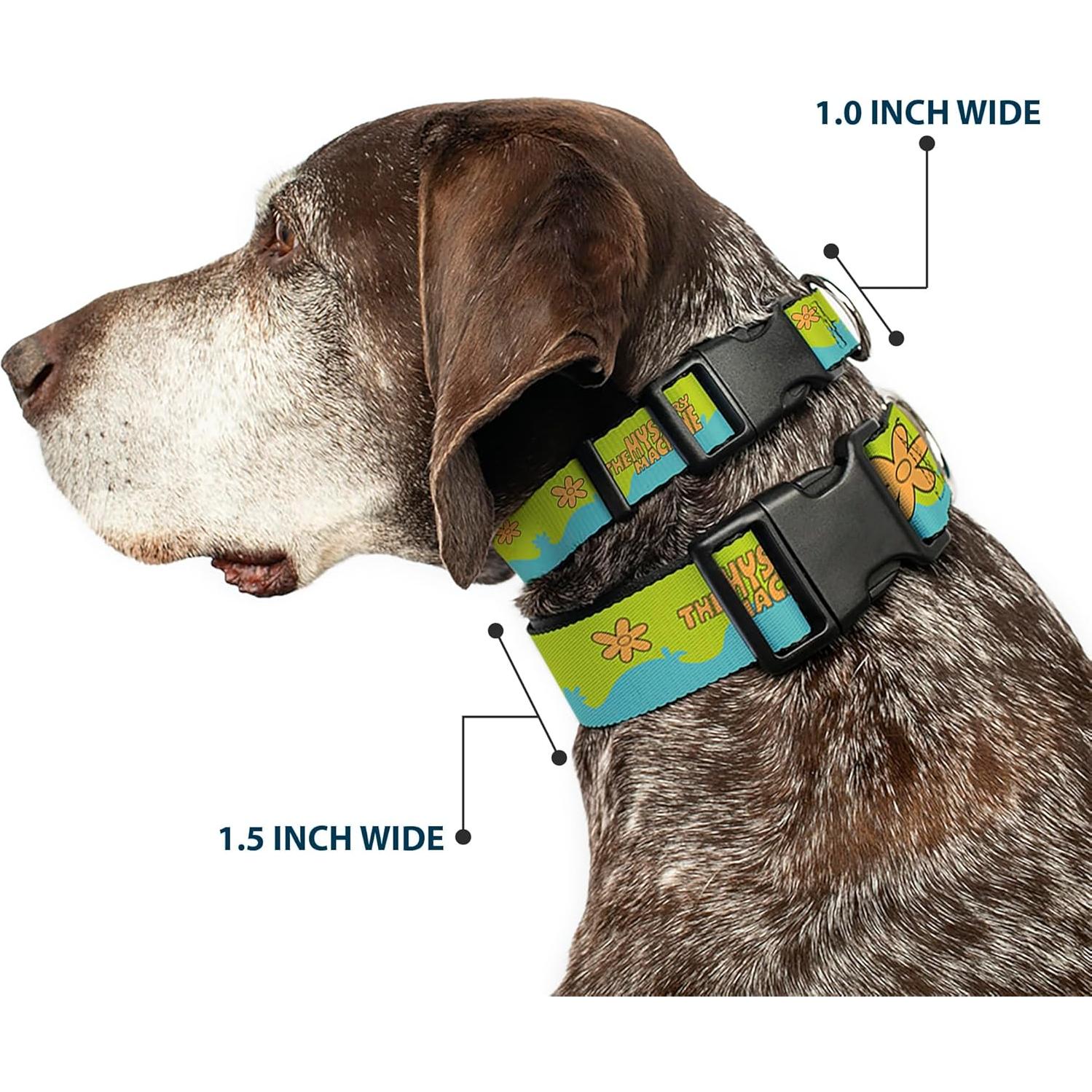 Collar para Perro Scooby Doo Buckle-Down 24.1-33 cm 2.5 cm