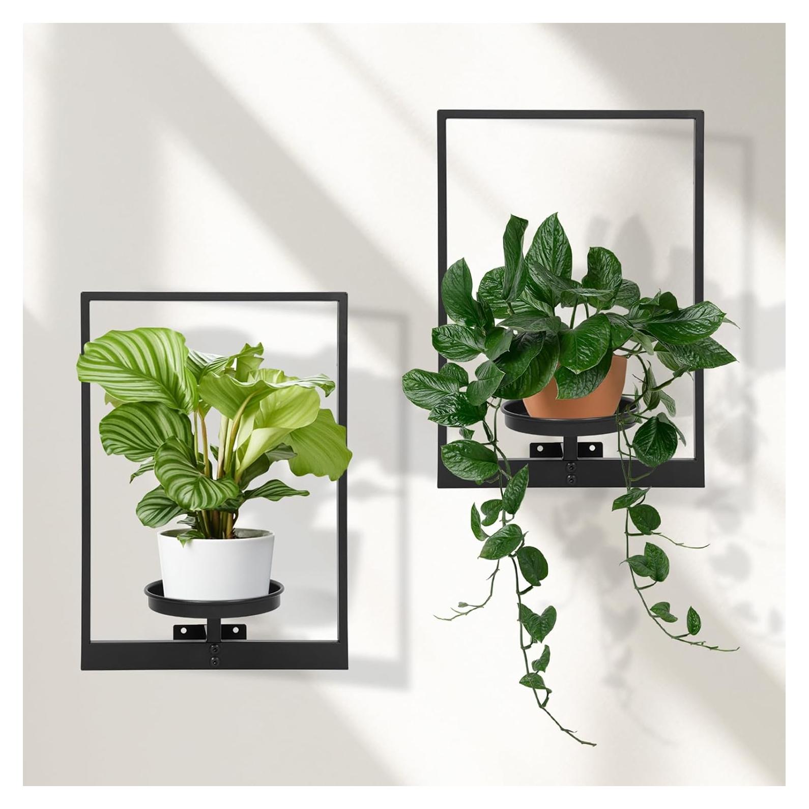 Soporte de Planta de Pared Storenization - Juego de 2 Estantes