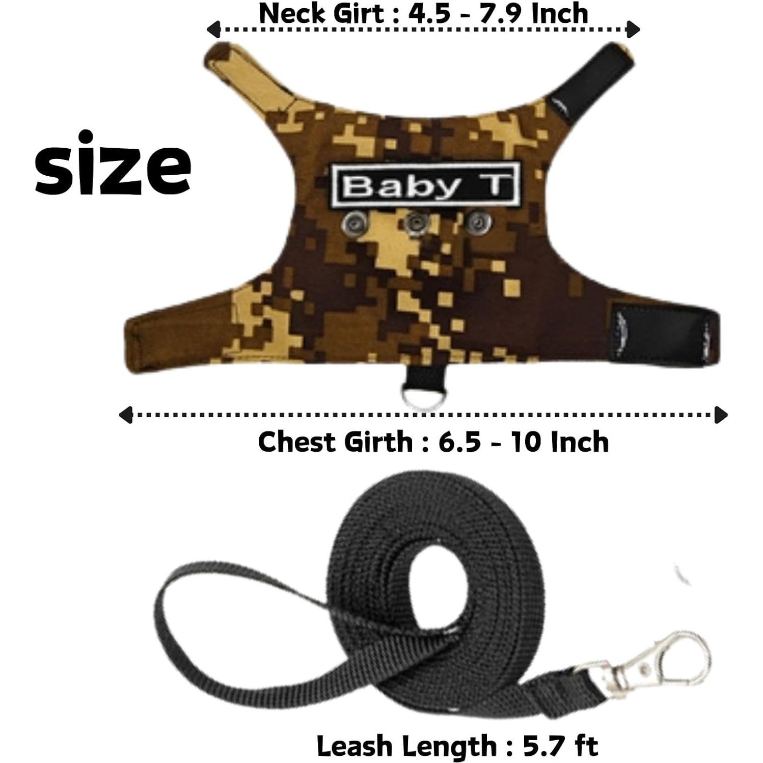 Conjunto Arnés y Correa Camuflaje KUNBIUH para Dragón Barbudo