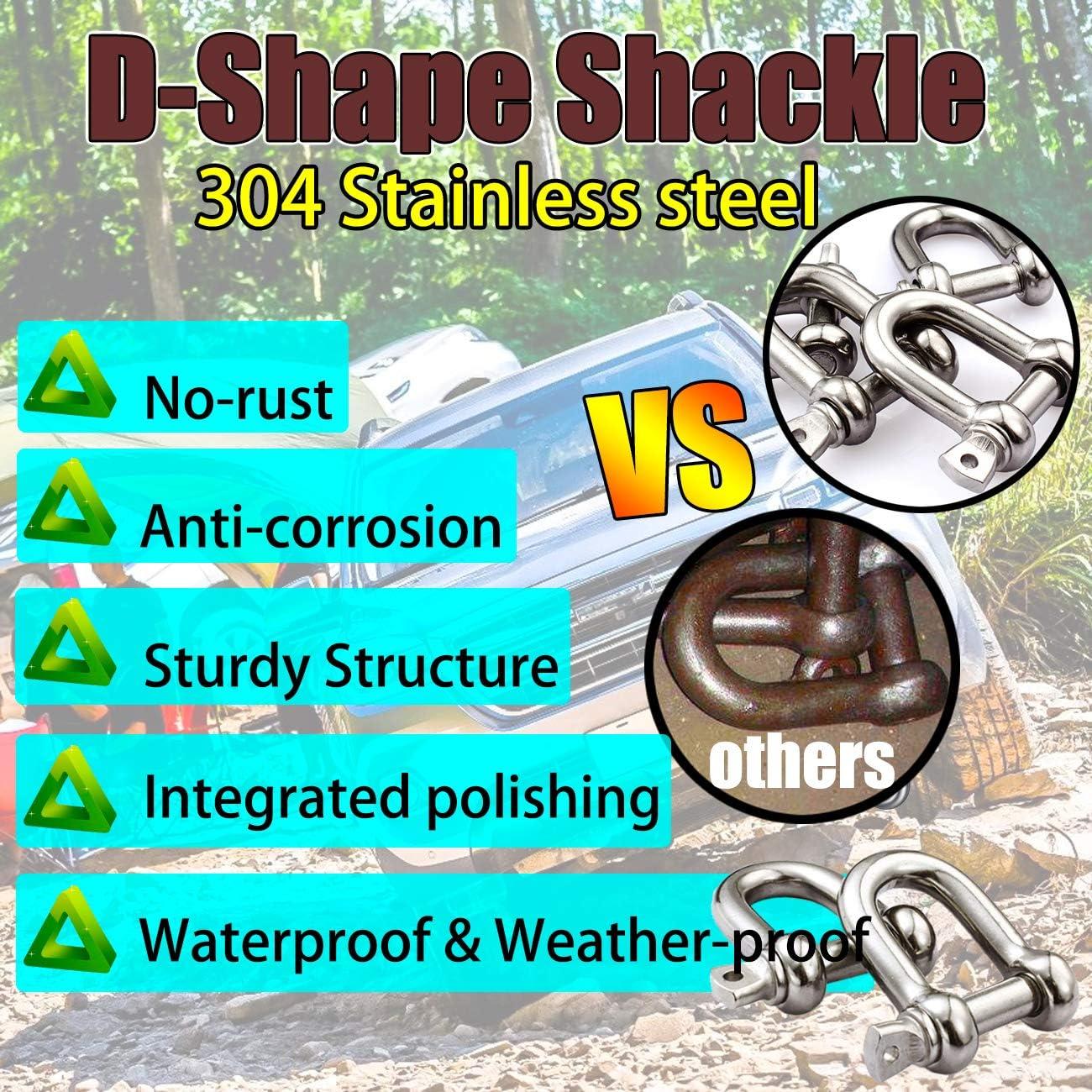 Grillete en D de acero inoxidable 304 6mm 4 piezas alta resistencia