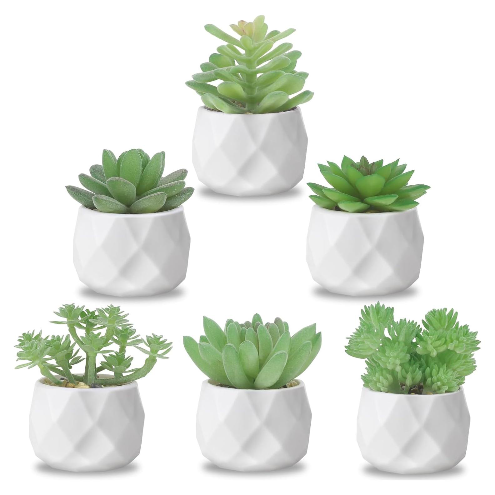 Conjunto de 6 Plantas Suculentas Artificiales ZINHO Verde