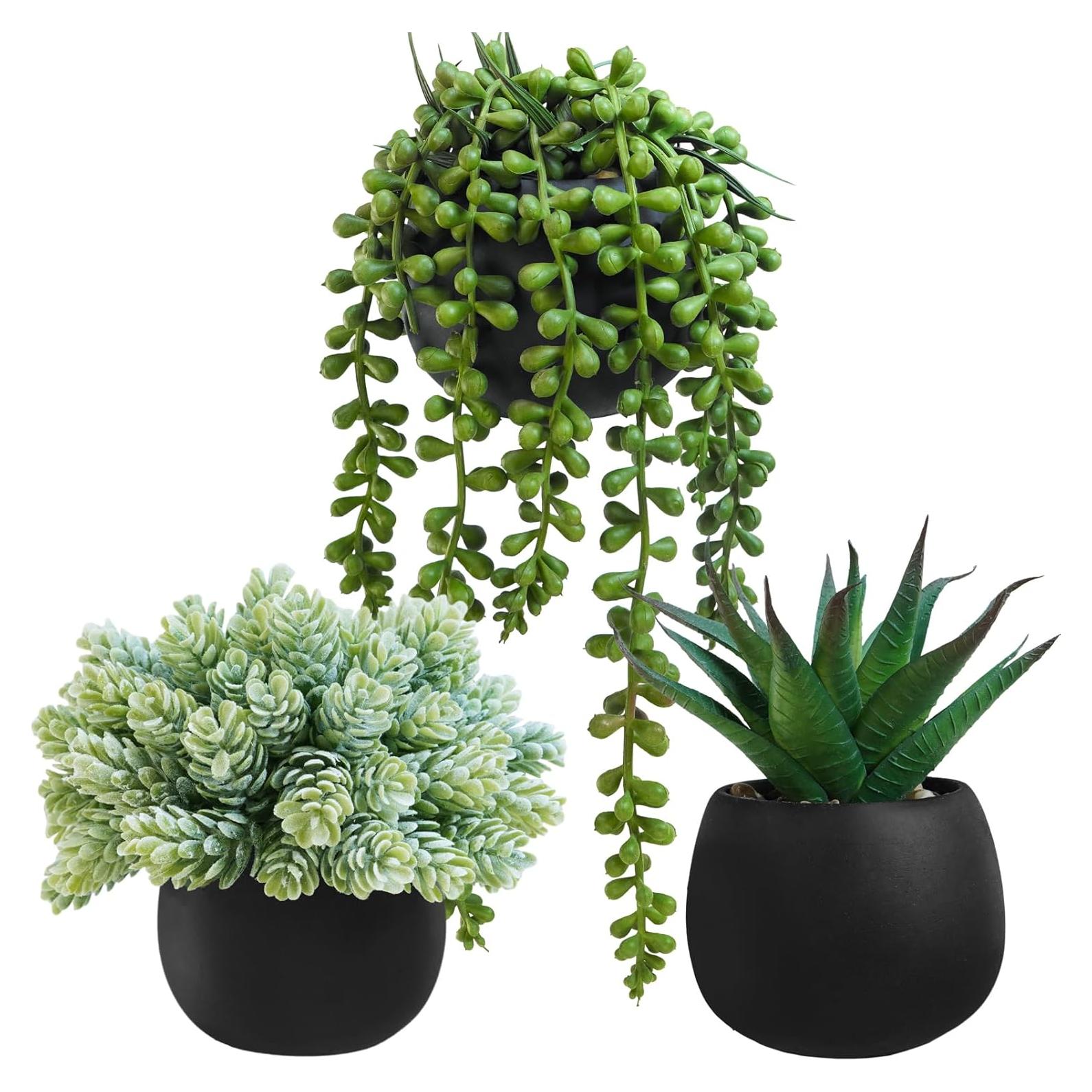 Winlyn Juego de 3 Plantas Suculentas Artificiales en Macetas Negras
