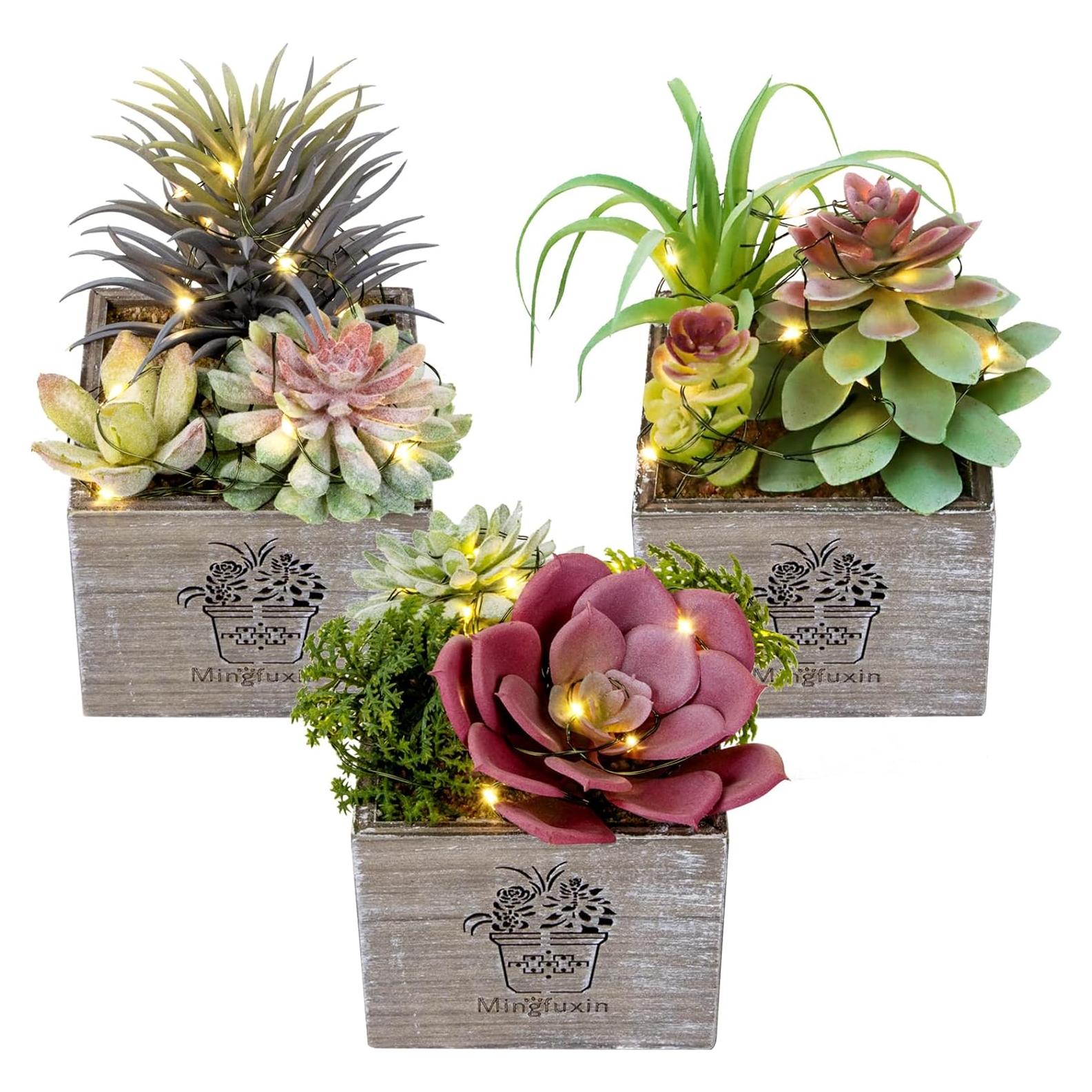 Plantas Suculentas Artificiales con Luces LED Mingfuxin - 3 Unidades