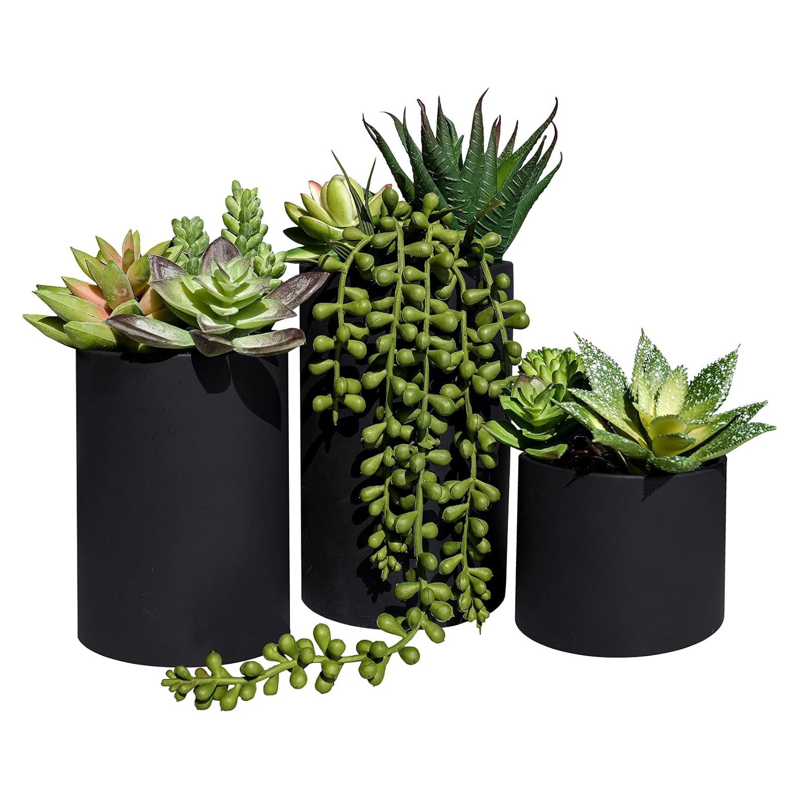 Juego de 3 Suculentas Artificiales Winlyn en Macetas Negras