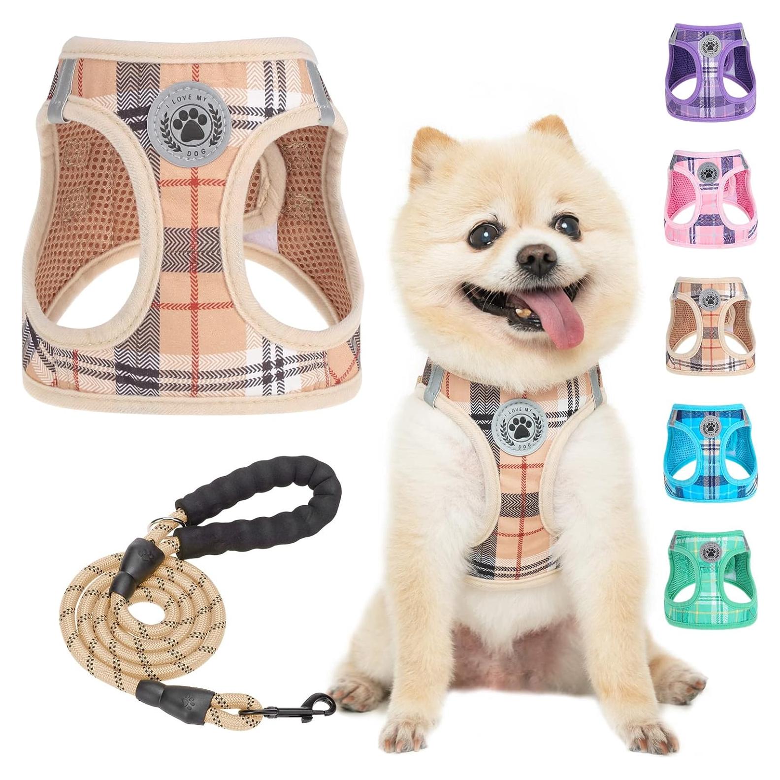 BEAUTYZOO Arnés y Correa para Perros Pequeños Beige XXS