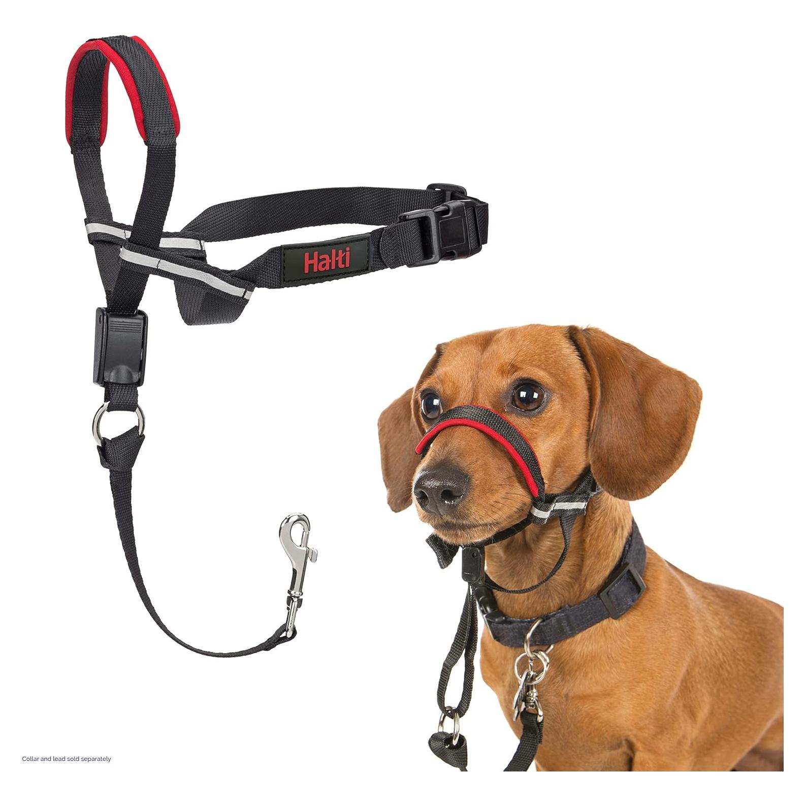 Collar de Cabeza HALTI OptiFit para Perros Pequeños - Ajustable y Reflectante