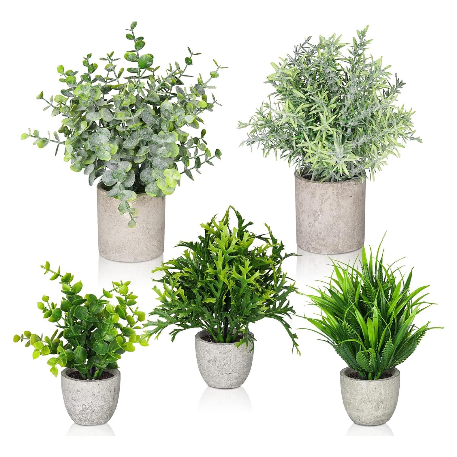 Plantas Falsas Lemonfilter Eucalipto Verde - Paquete de 5