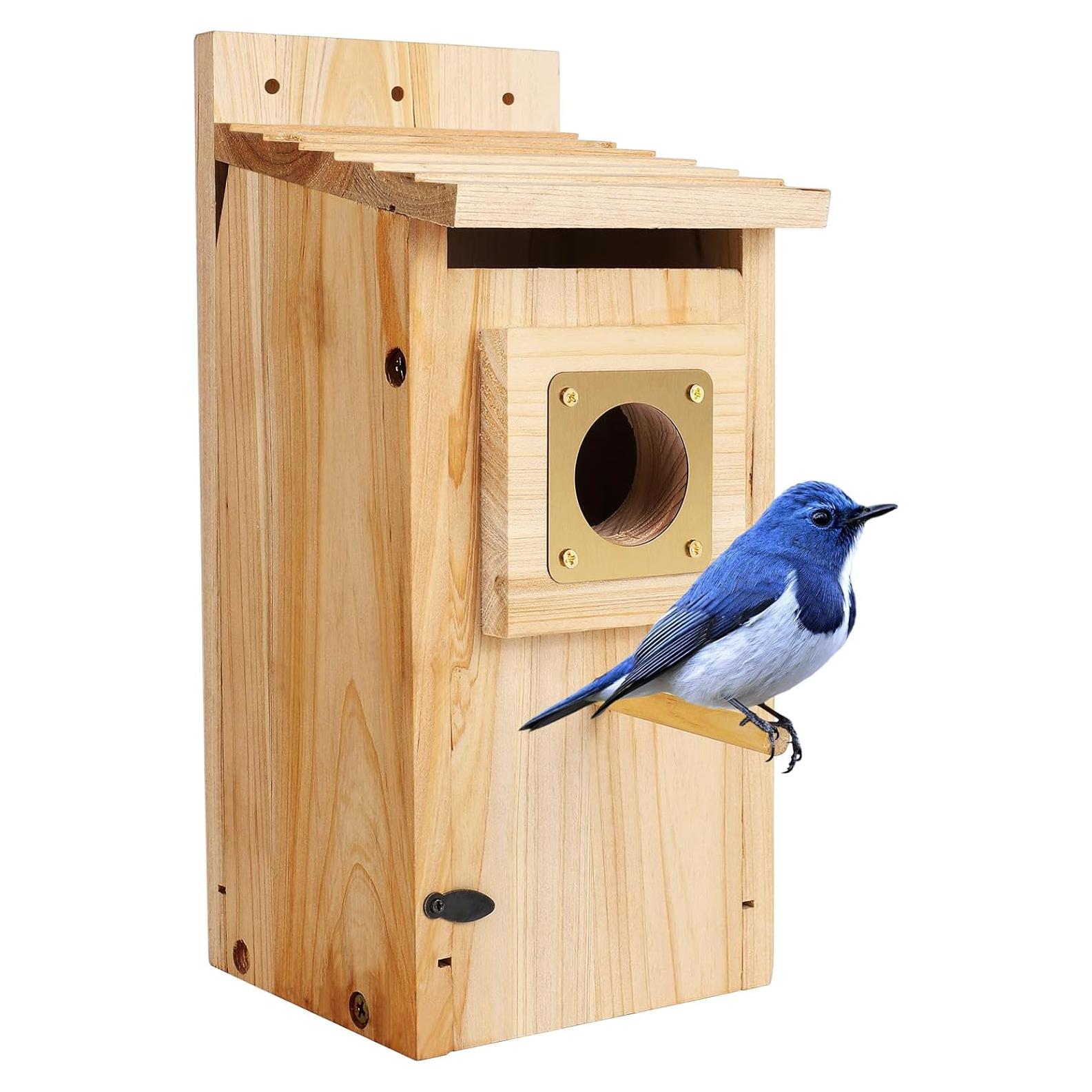 Casa para Aves ColorfulLaVie de Madera 63x27x11 cm con Protector