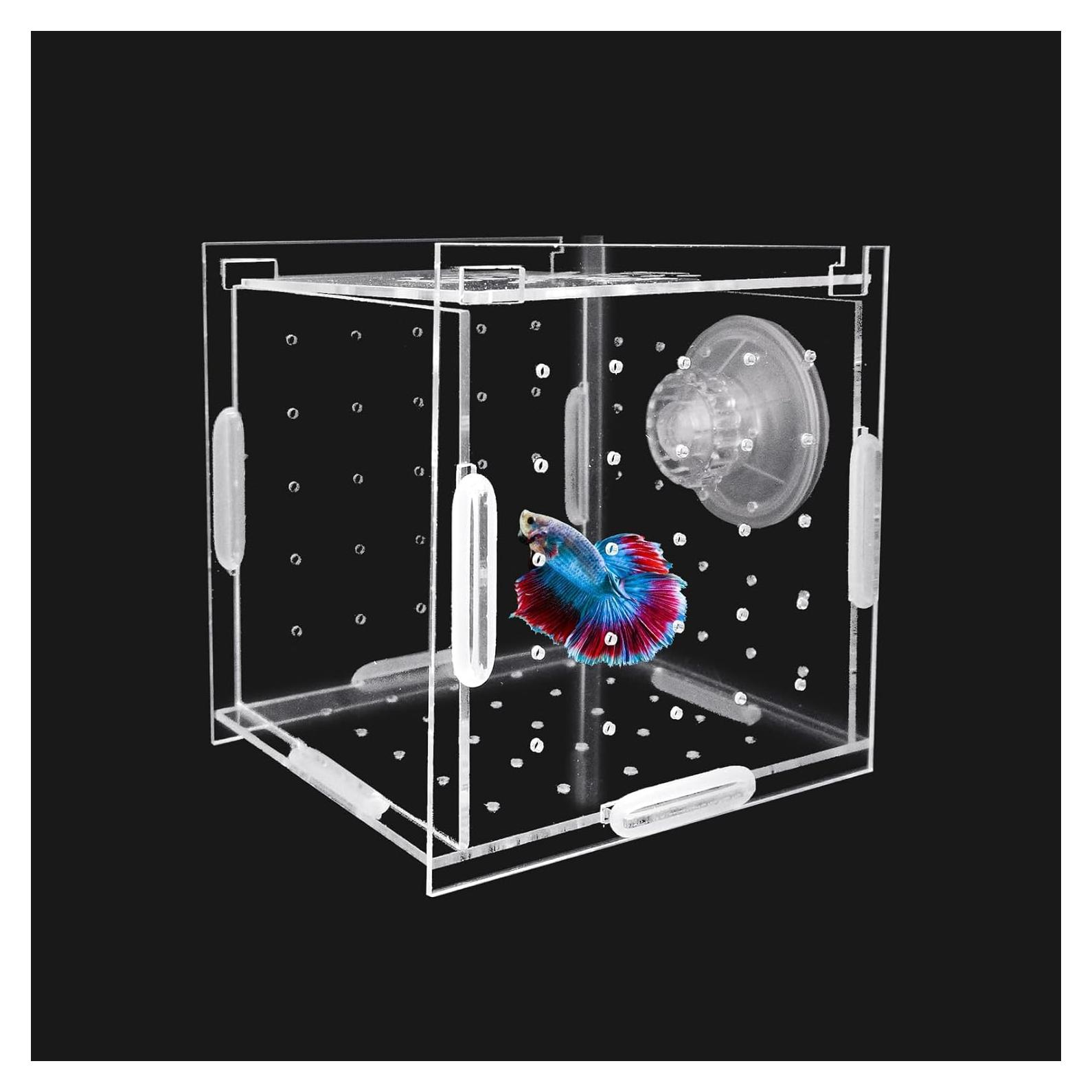 Caja de Aislamiento de Cría de Acrílico Hamiledyi 9.9x9.9 cm
