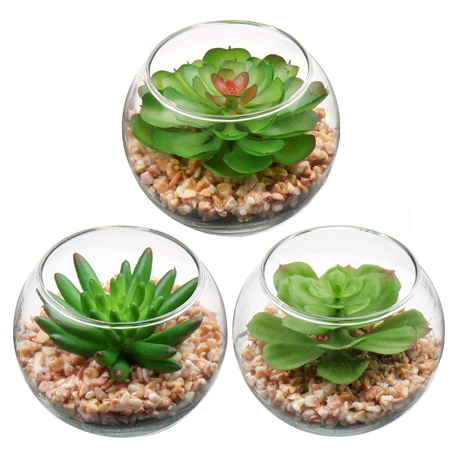 Briful Mini Suculentas Artificiales en Jarrón de Vidrio - 3 Piezas