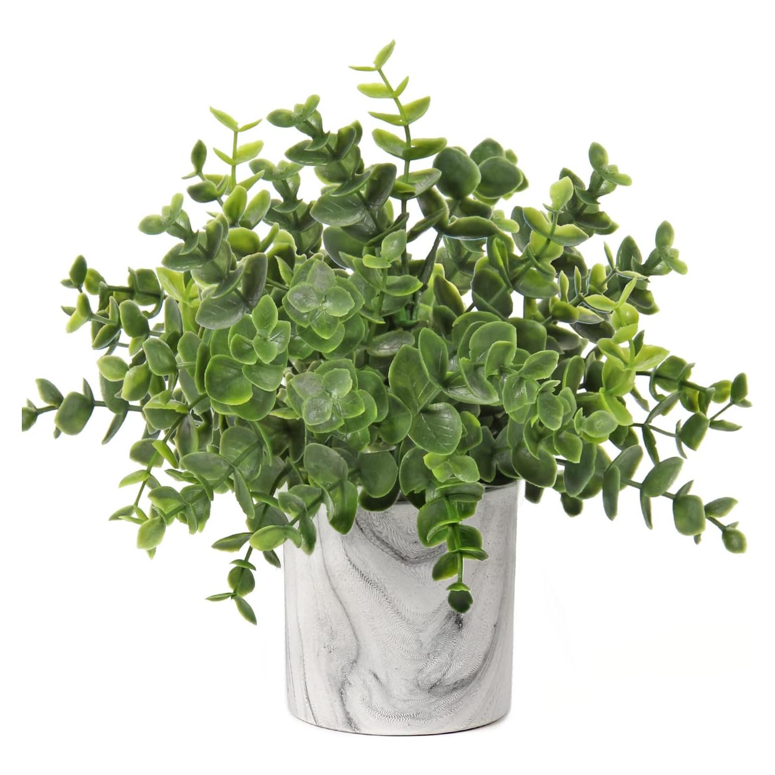 Planta Artificial Eucalipto Hollyone en Maceta 22.9 cm Verde