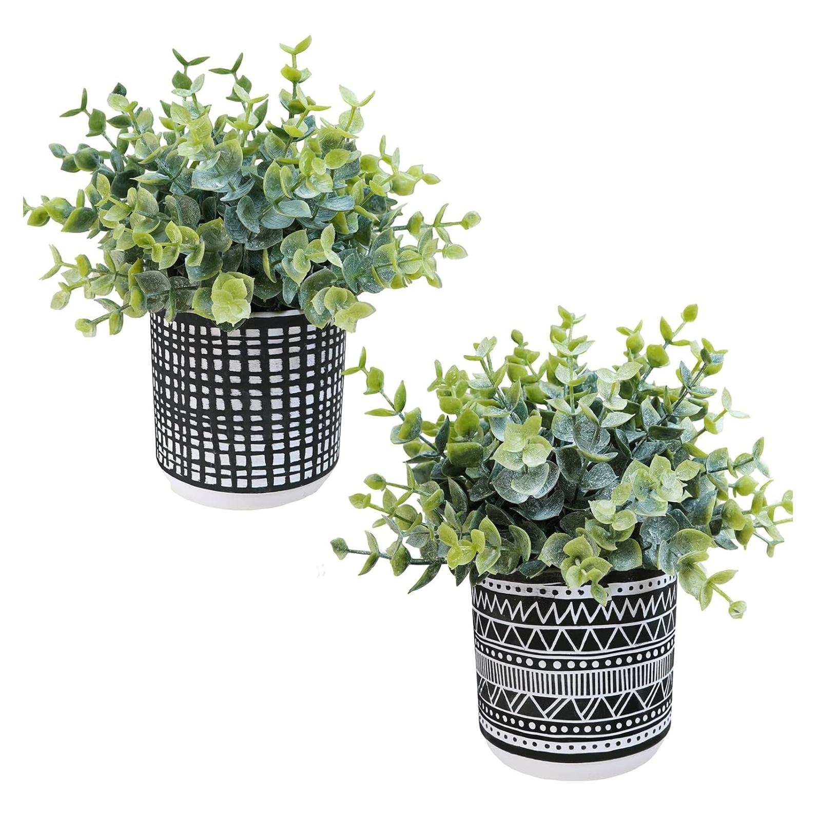 Juego de 2 Plantas de Eucalipto Artificial Winlyn en Macetas Negras