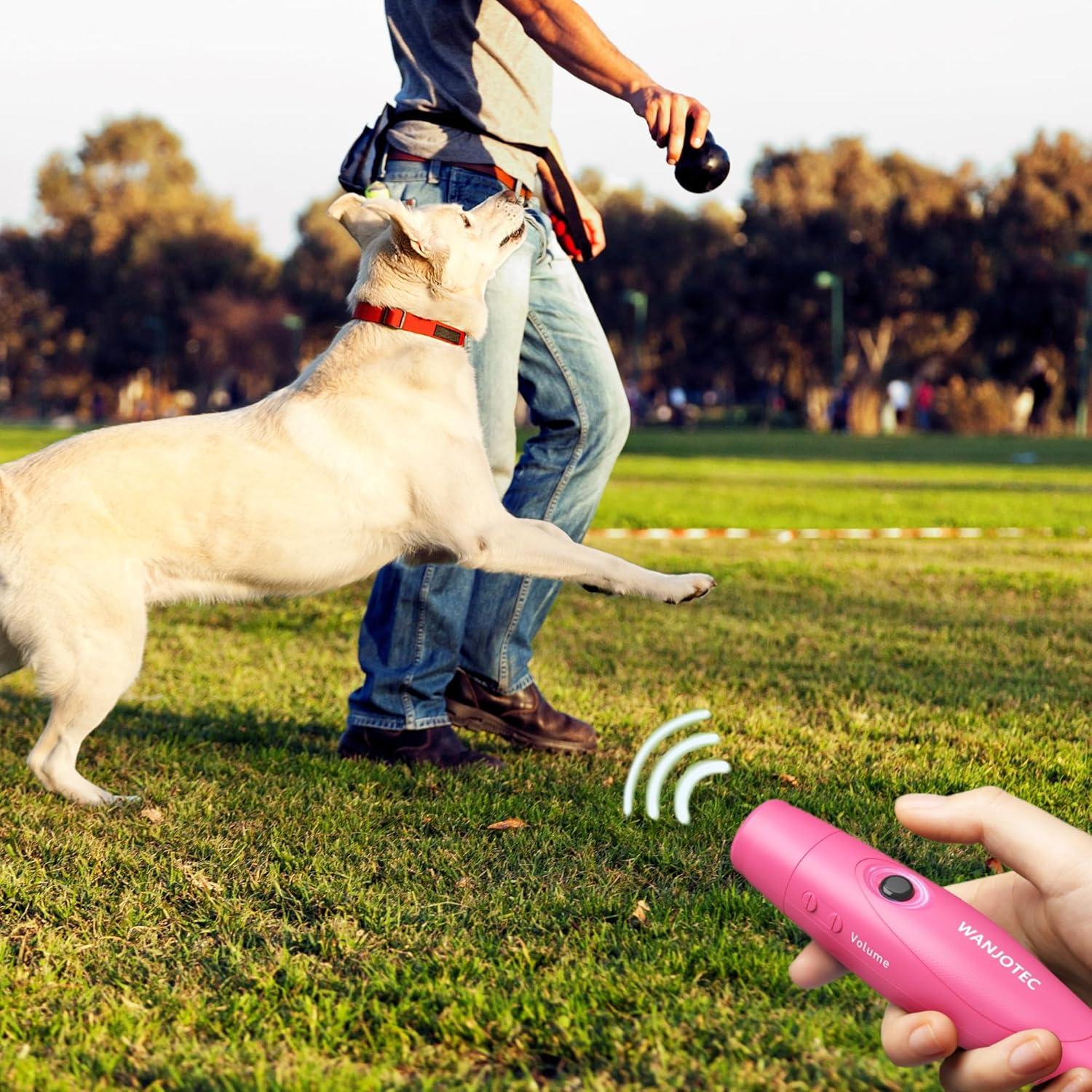 Silbato Electrónico WANJOTEC Rosa 3 Tonos Ajustables 130dB