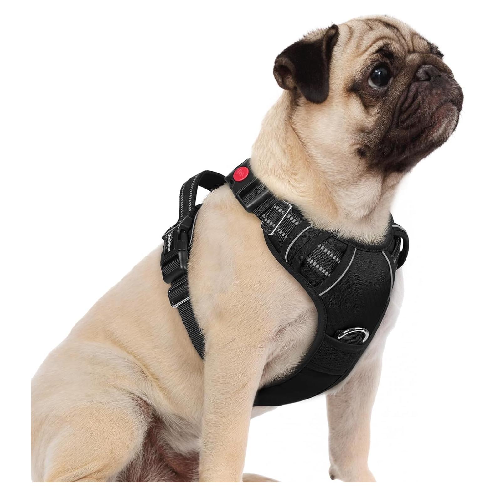 Arnés para Perros Rabbitgoo Pequeño Negro Ajustable y Acolchado