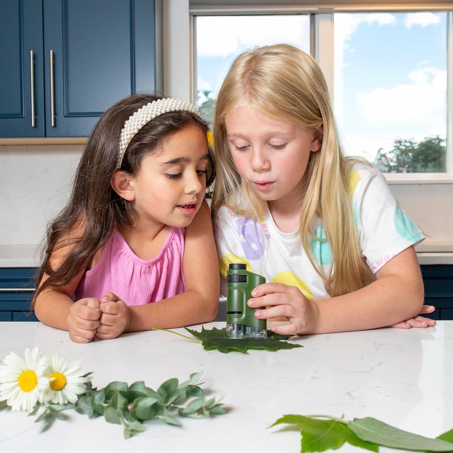 Microscopio de Bolsillo Carson MicroBrite 20x-40x LED - Juego de 6