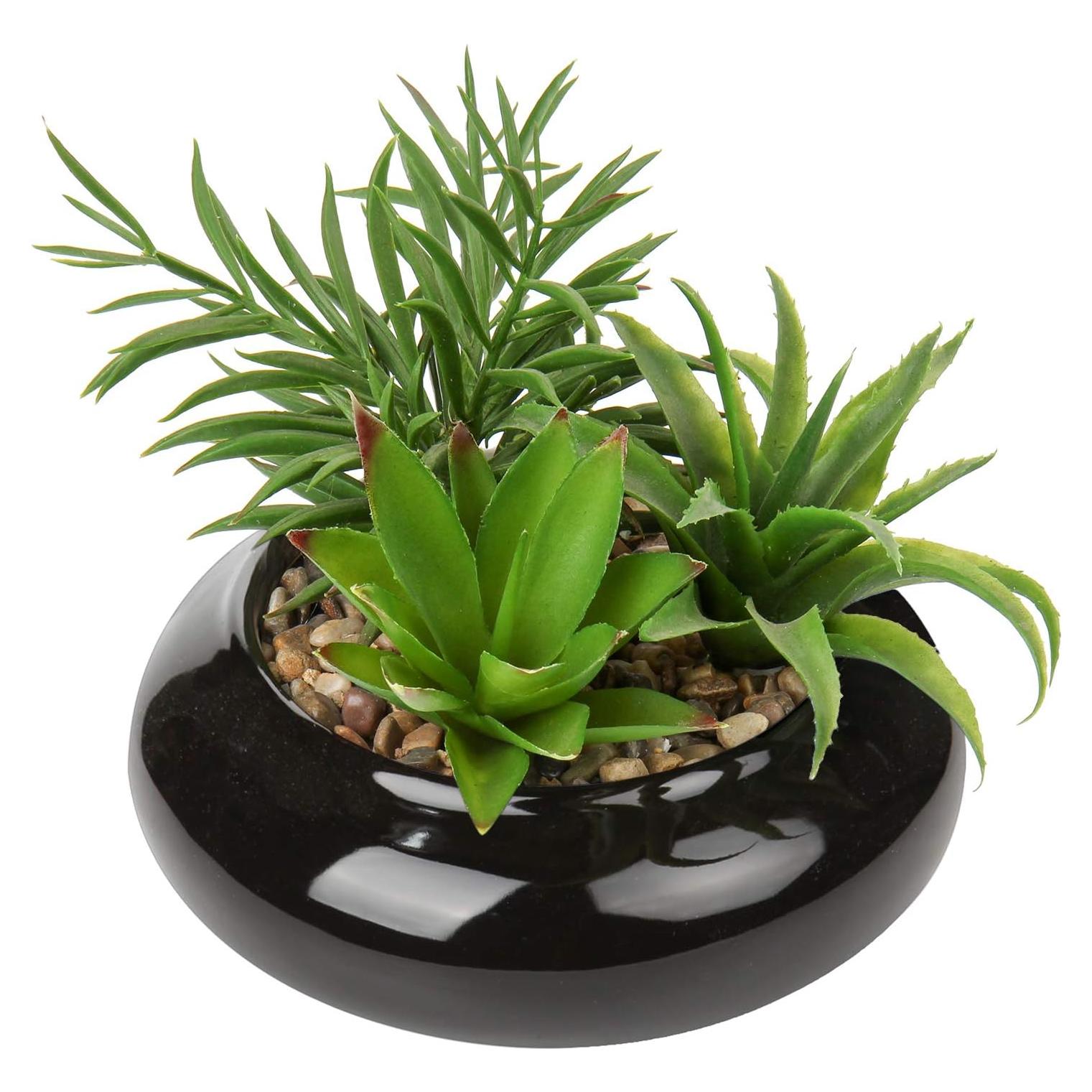 Planta Suculenta Artificial Hollyone en Maceta Cerámica Negra 17cm