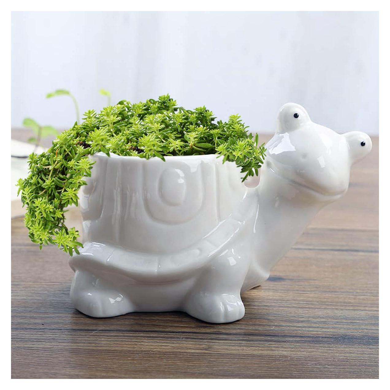 Maceta Tortuga GeLive Blanca 14x8.5 cm para Suculentas