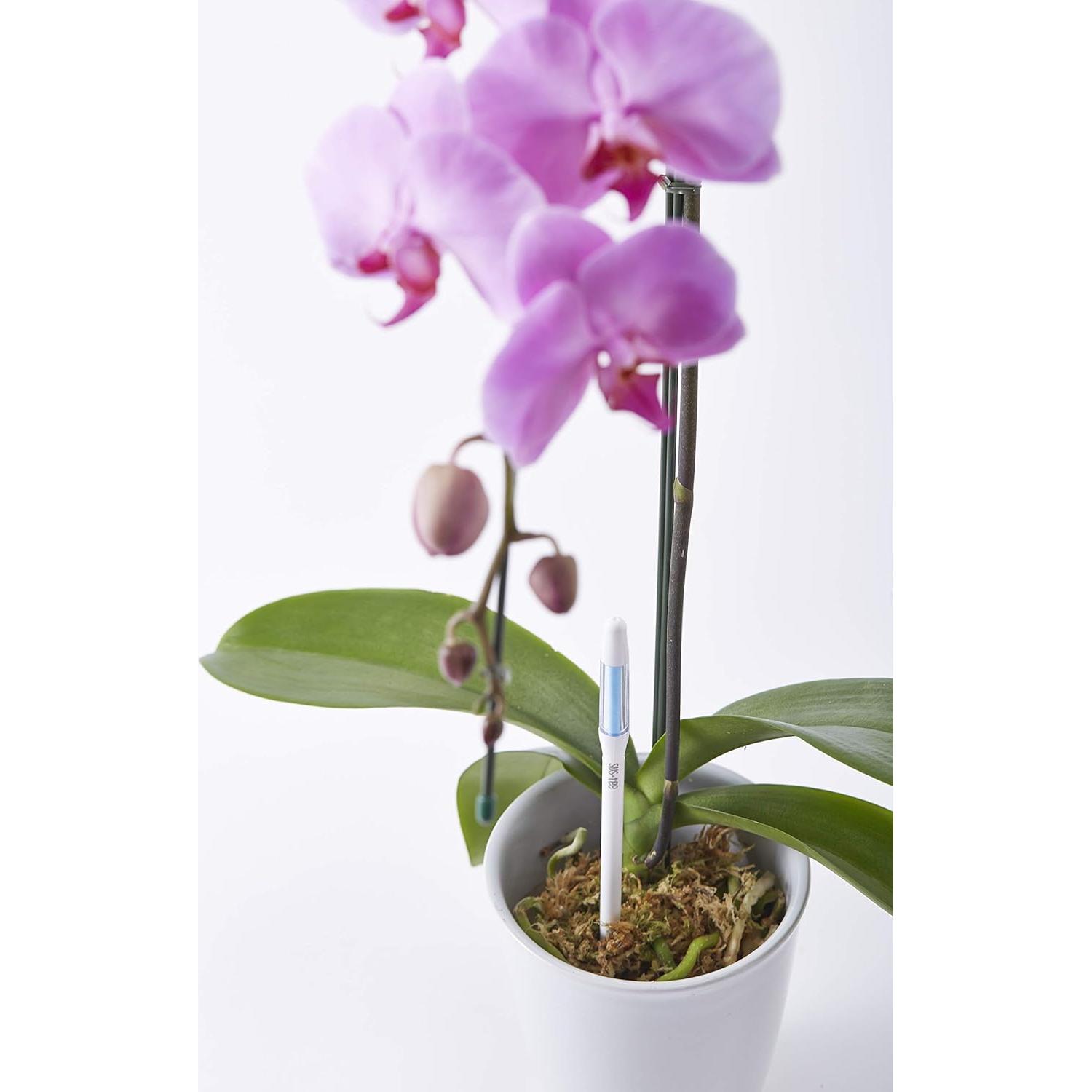 Recambios de Sensor de Humedad Sustee Mediano - 2 Piezas