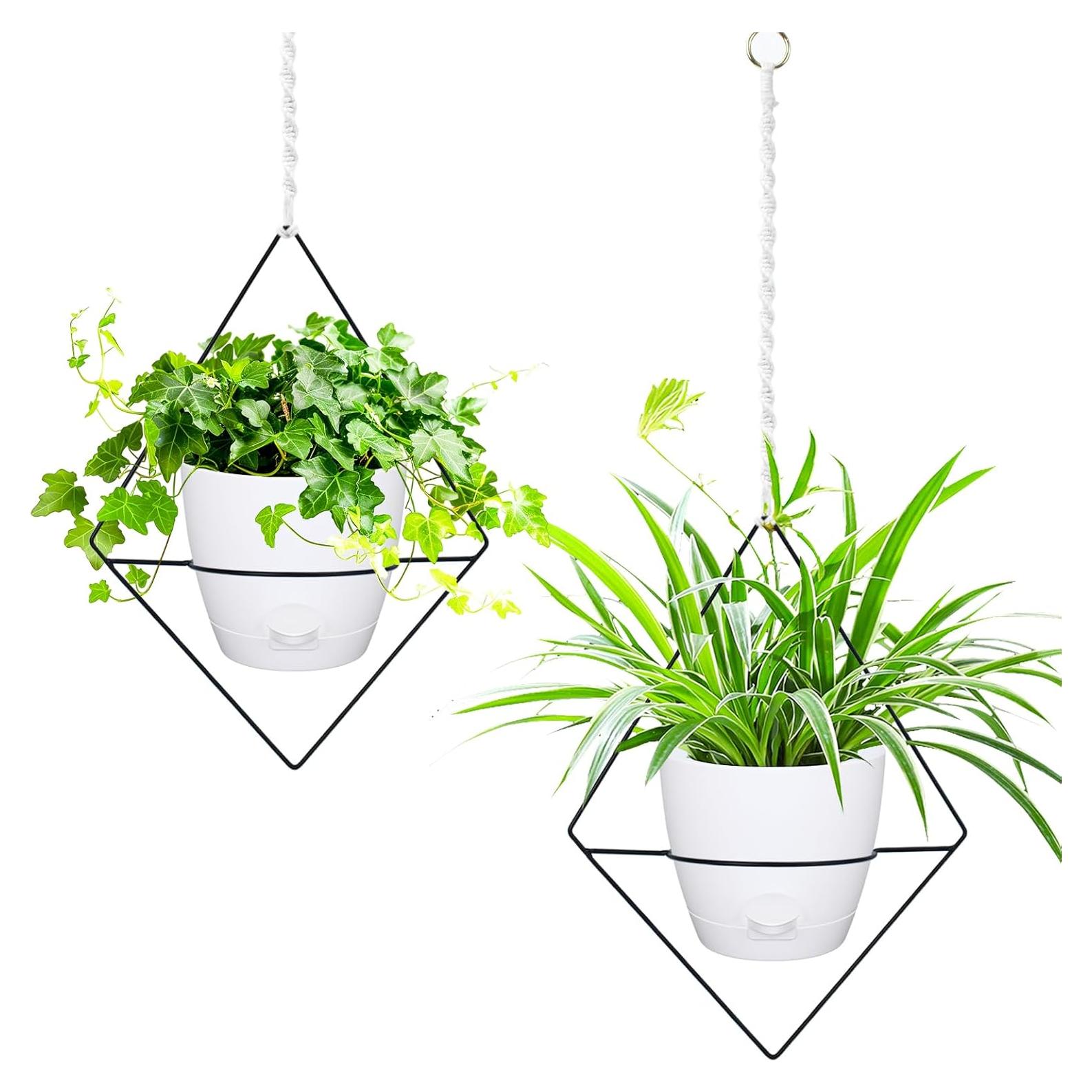 Macetas Colgantes Autorriego Koalaime 15.24 cm - 2 Piezas