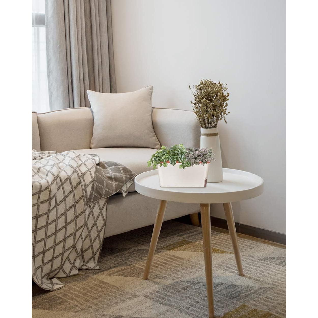 Juego de 6 Macetas Rectangulares Autorriego GardenBasix Arcilla