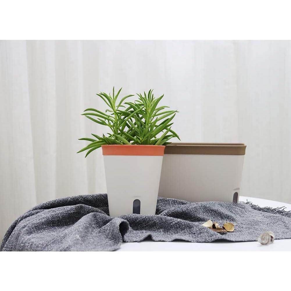 Juego de 6 Macetas Rectangulares Autorriego GardenBasix Arcilla