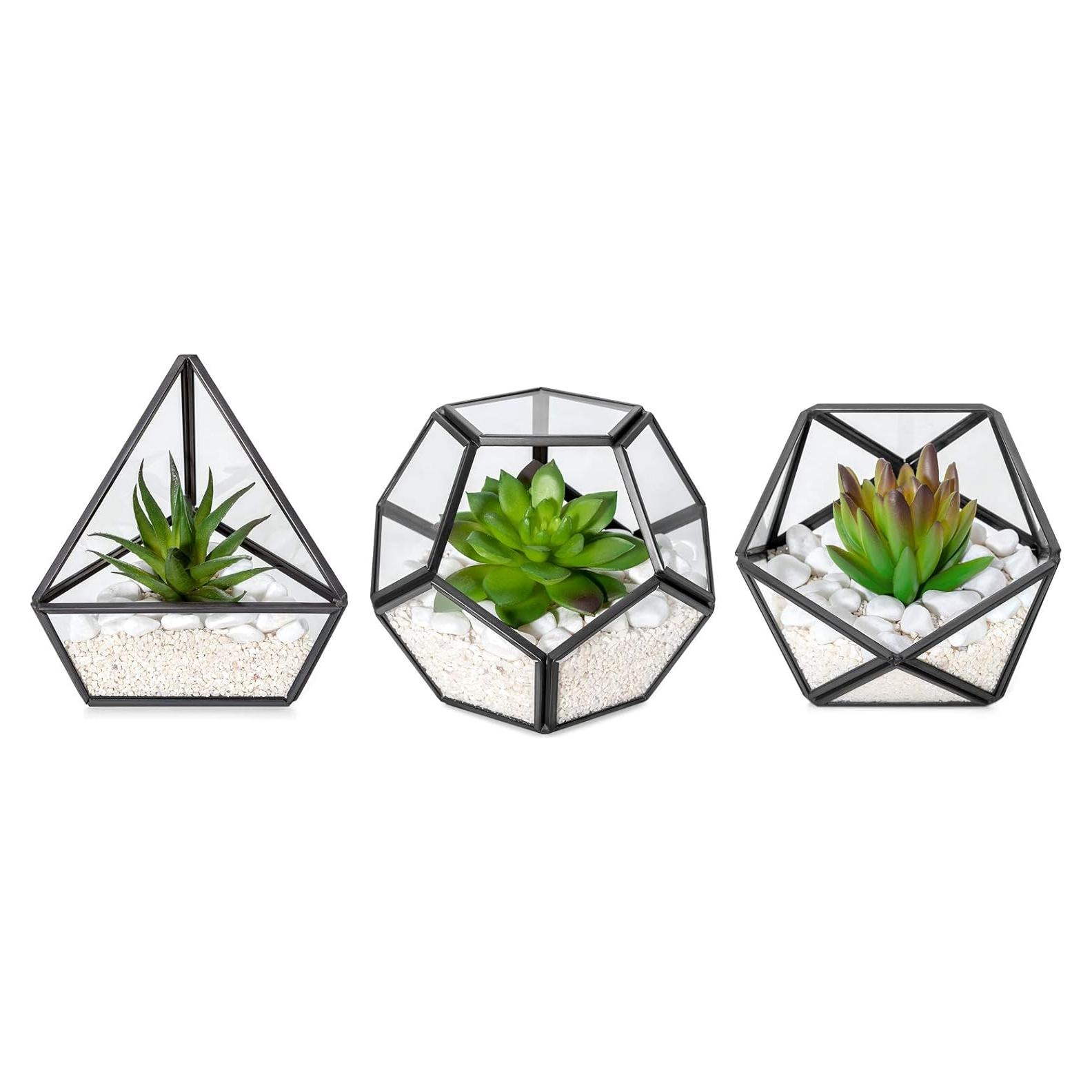 Terrarios Geométricos de Vidrio Mkono - 3 Piezas con Suculentas