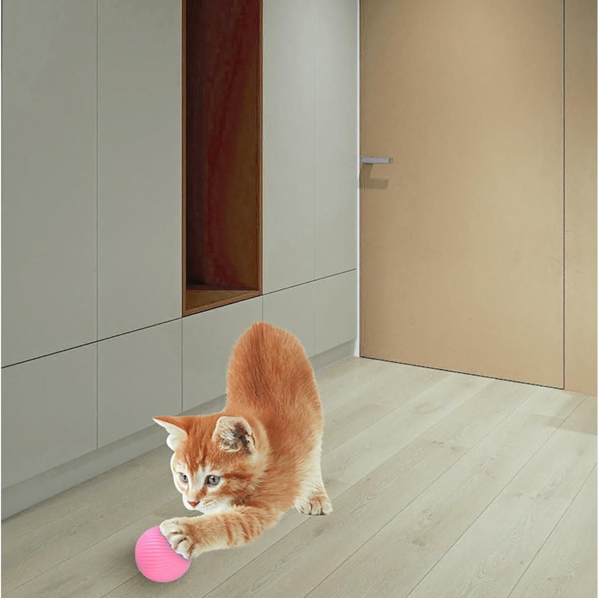 Wloom Bola de Gato Rosa - Juguete Interactivo 4 cm