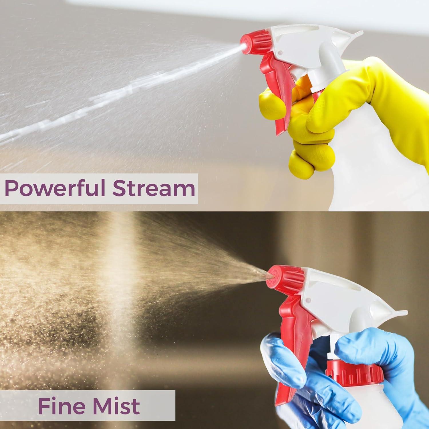 Botellas de Spray DilaBee 500ml - Paquete de 2 Reutilizables