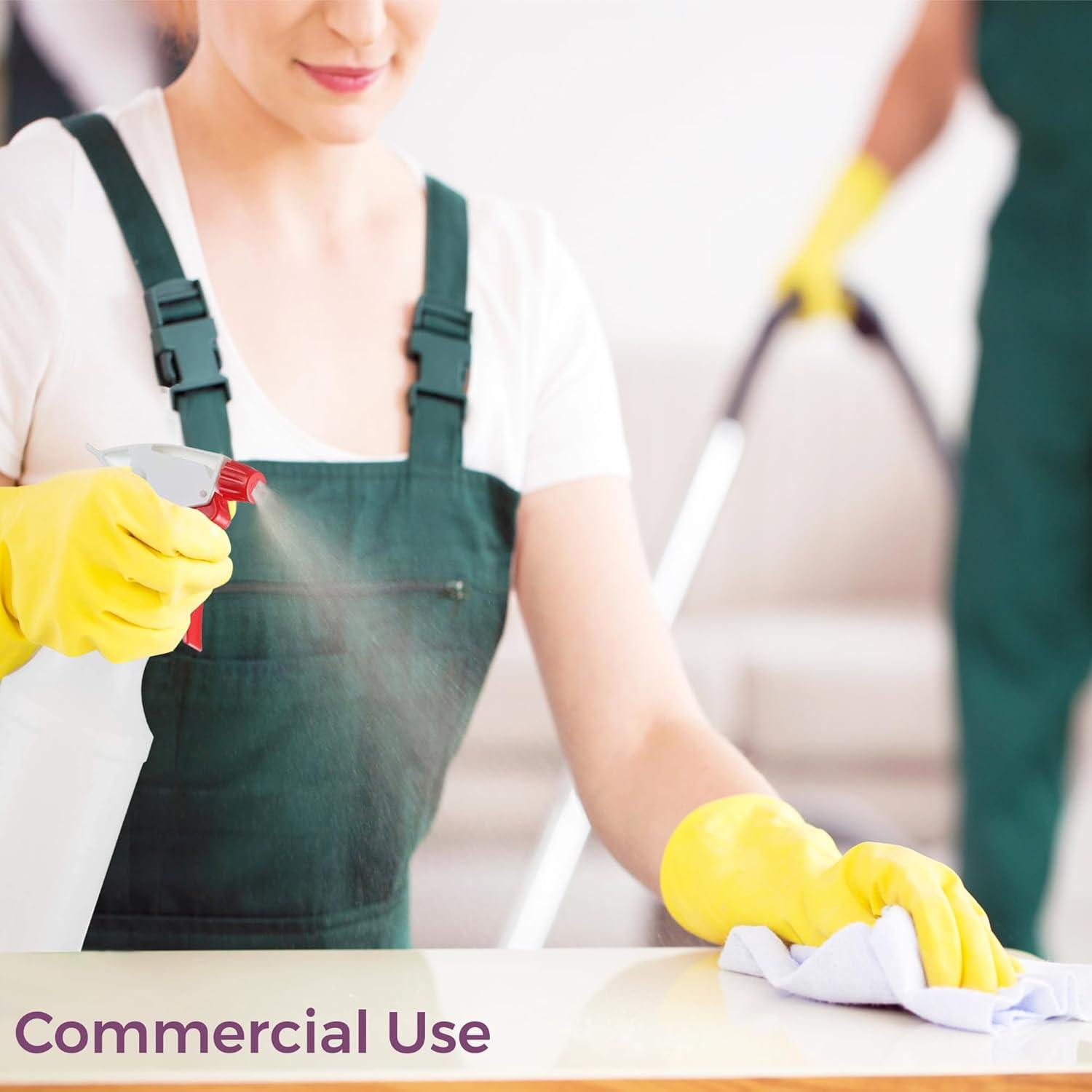 Botellas de Spray DilaBee 500ml - Paquete de 2 Reutilizables