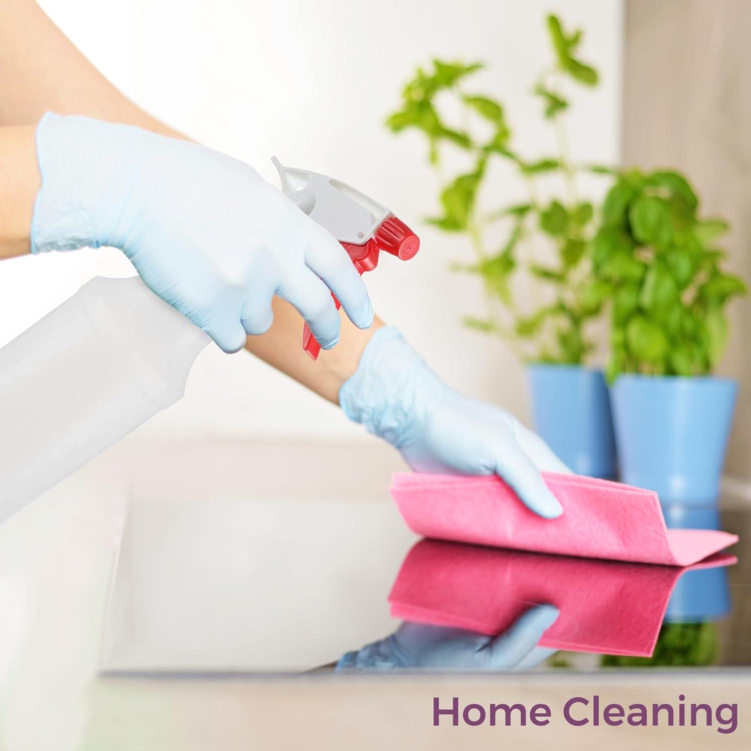 Botellas de Spray DilaBee 500ml - Paquete de 2 Reutilizables