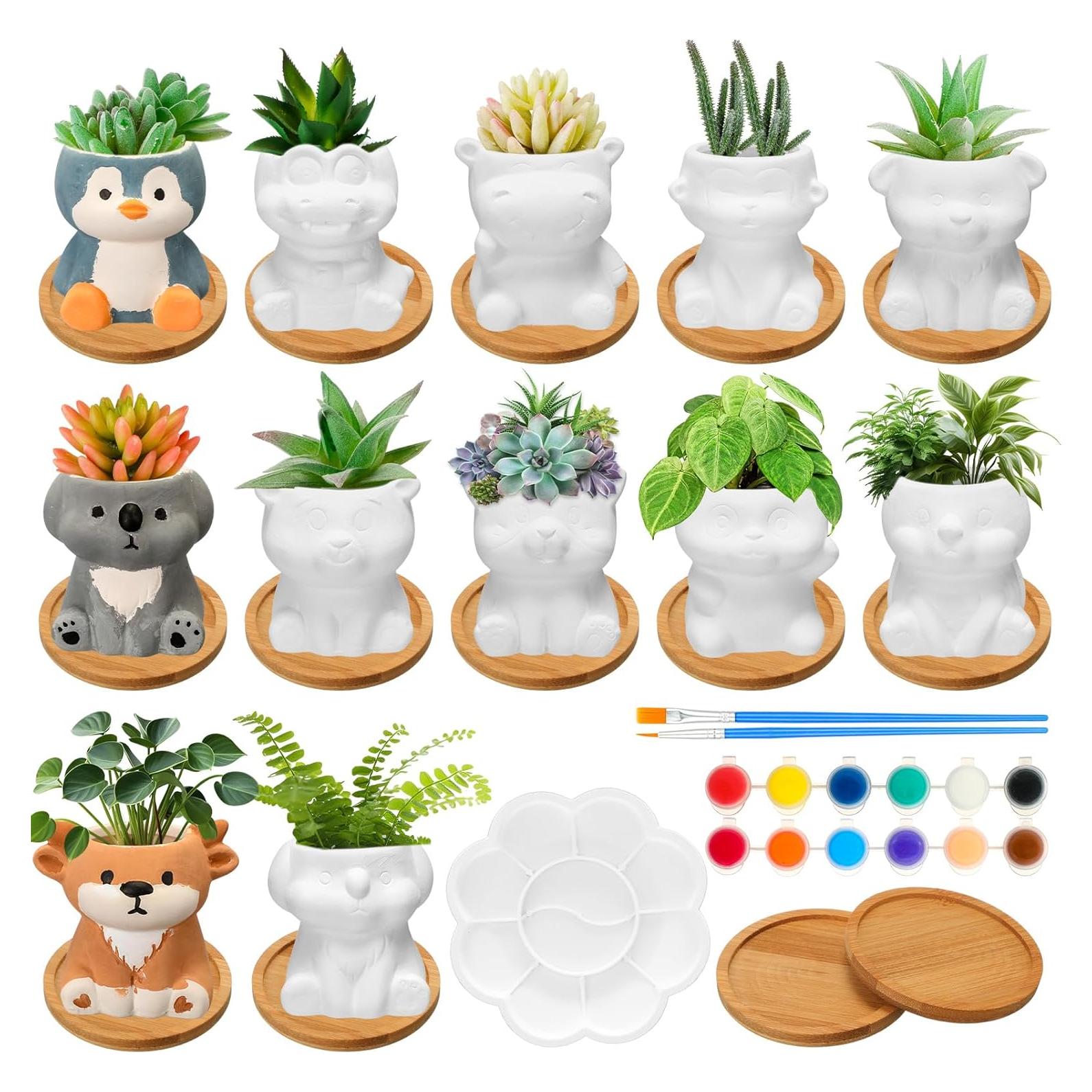 Hushee 12 Macetas Cerámicas Pintables para Suculentas DIY