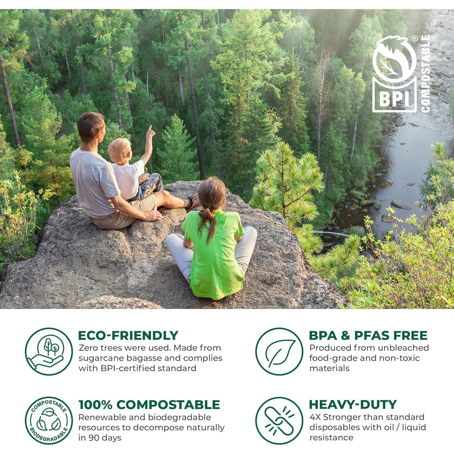 Contenedores Compostables Freshware 20x20 cm - Paquete de 50