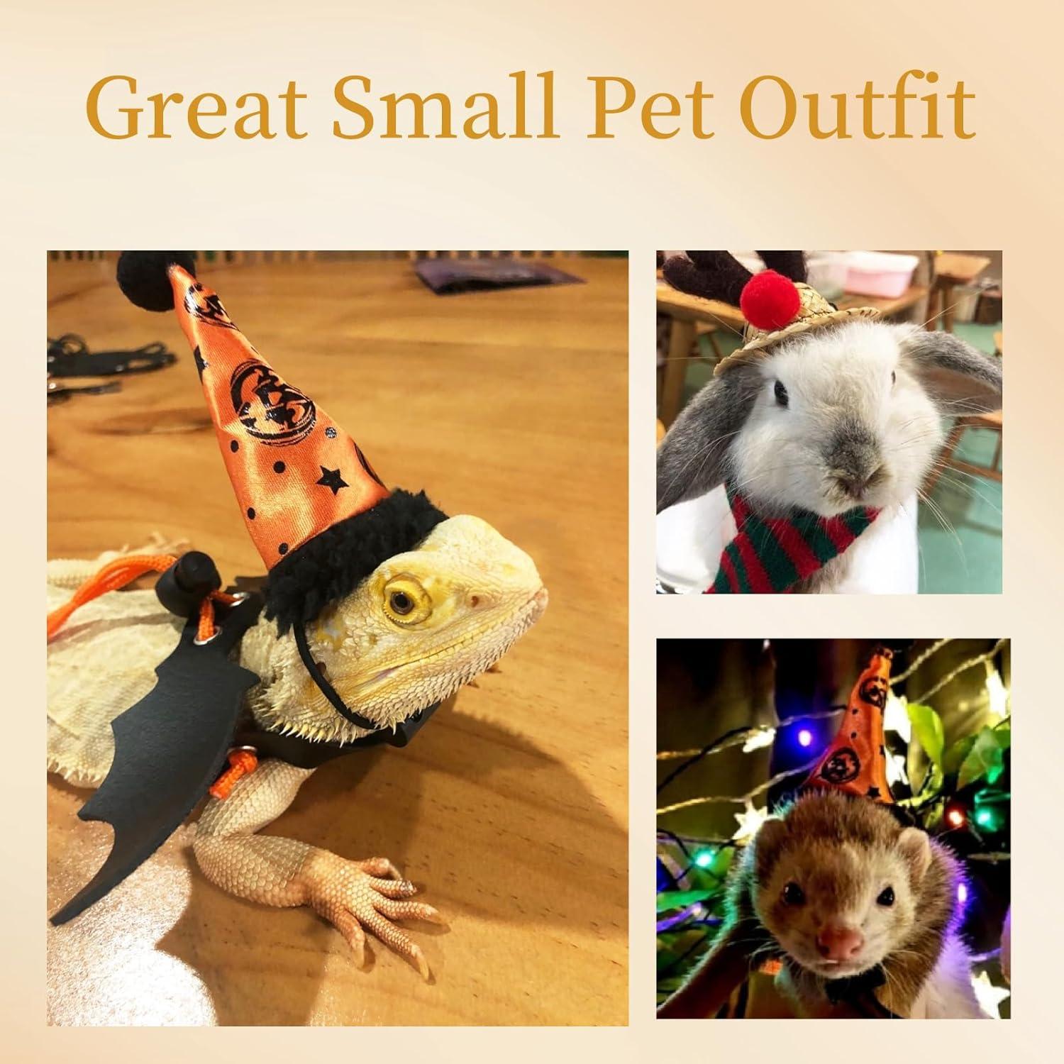 Conjunto de Disfraces para Reptiles YingXue 4 Pcs