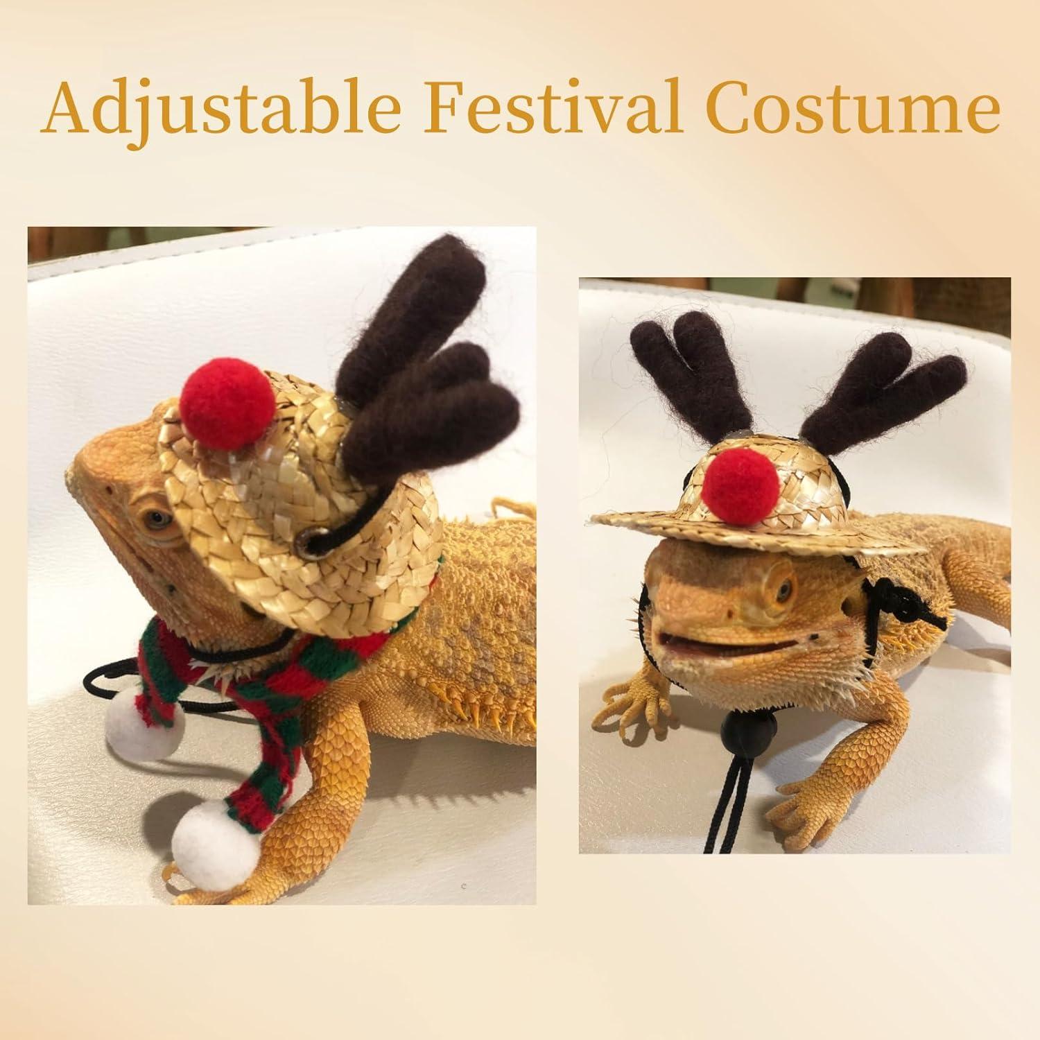 Conjunto de Disfraces para Reptiles YingXue 4 Pcs