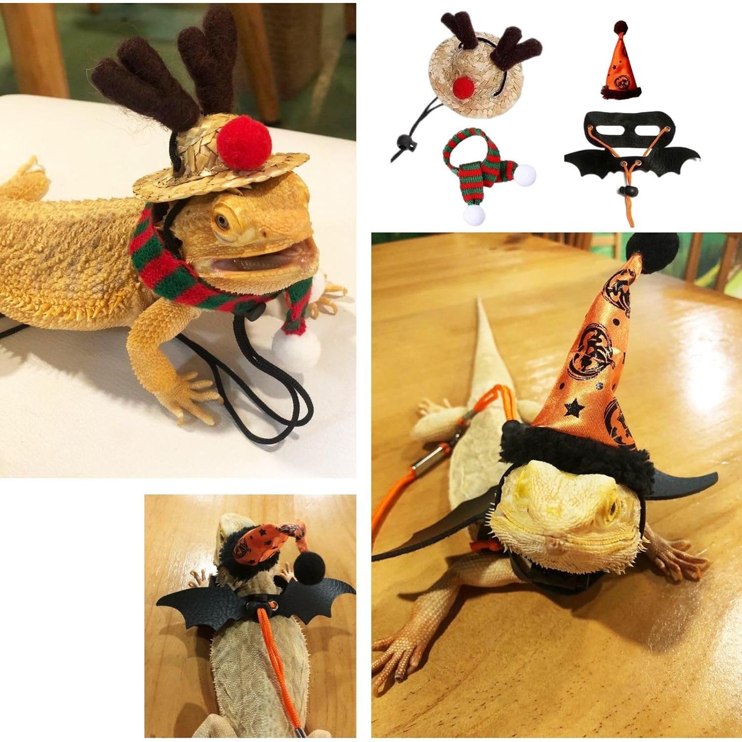 Conjunto de Disfraces para Reptiles YingXue 4 Pcs