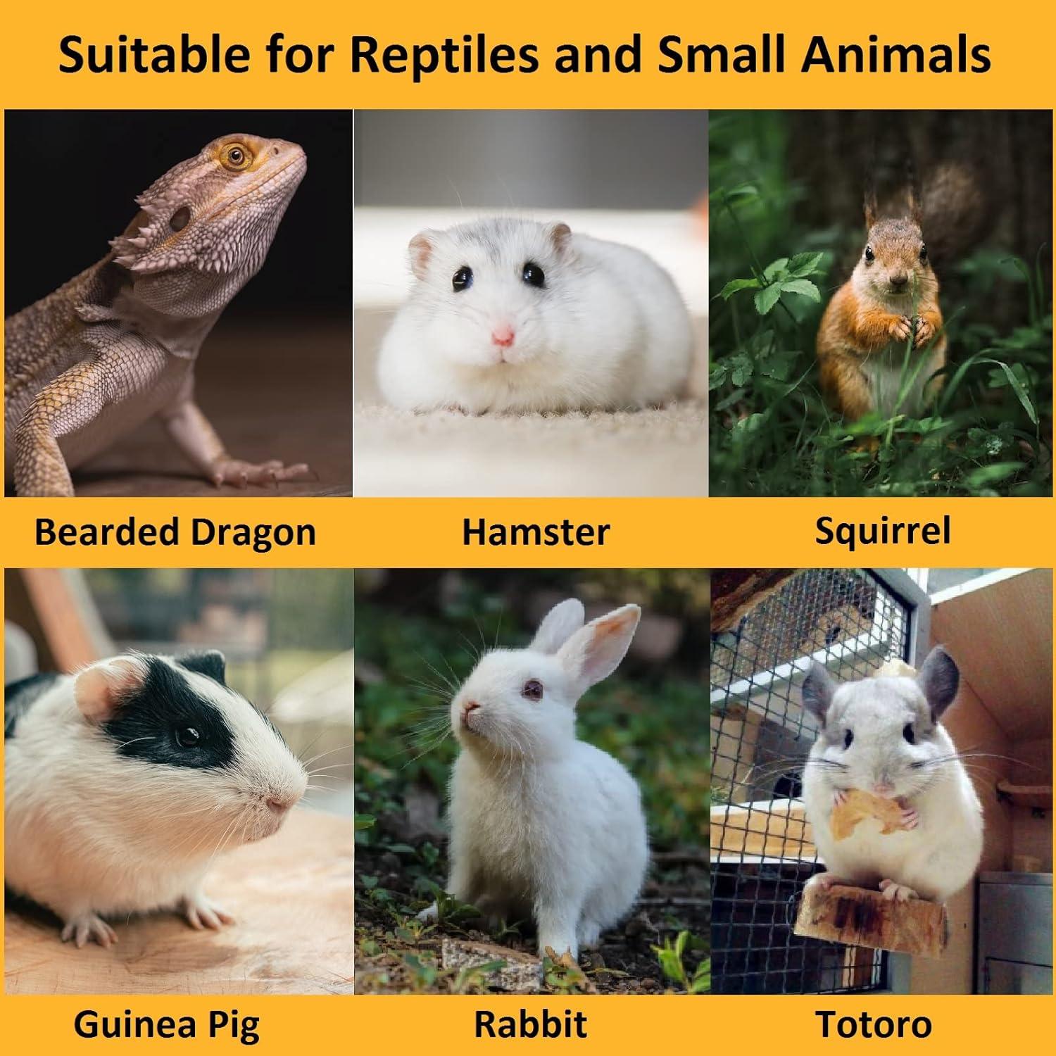 Conjunto de Disfraces para Reptiles YingXue 4 Pcs