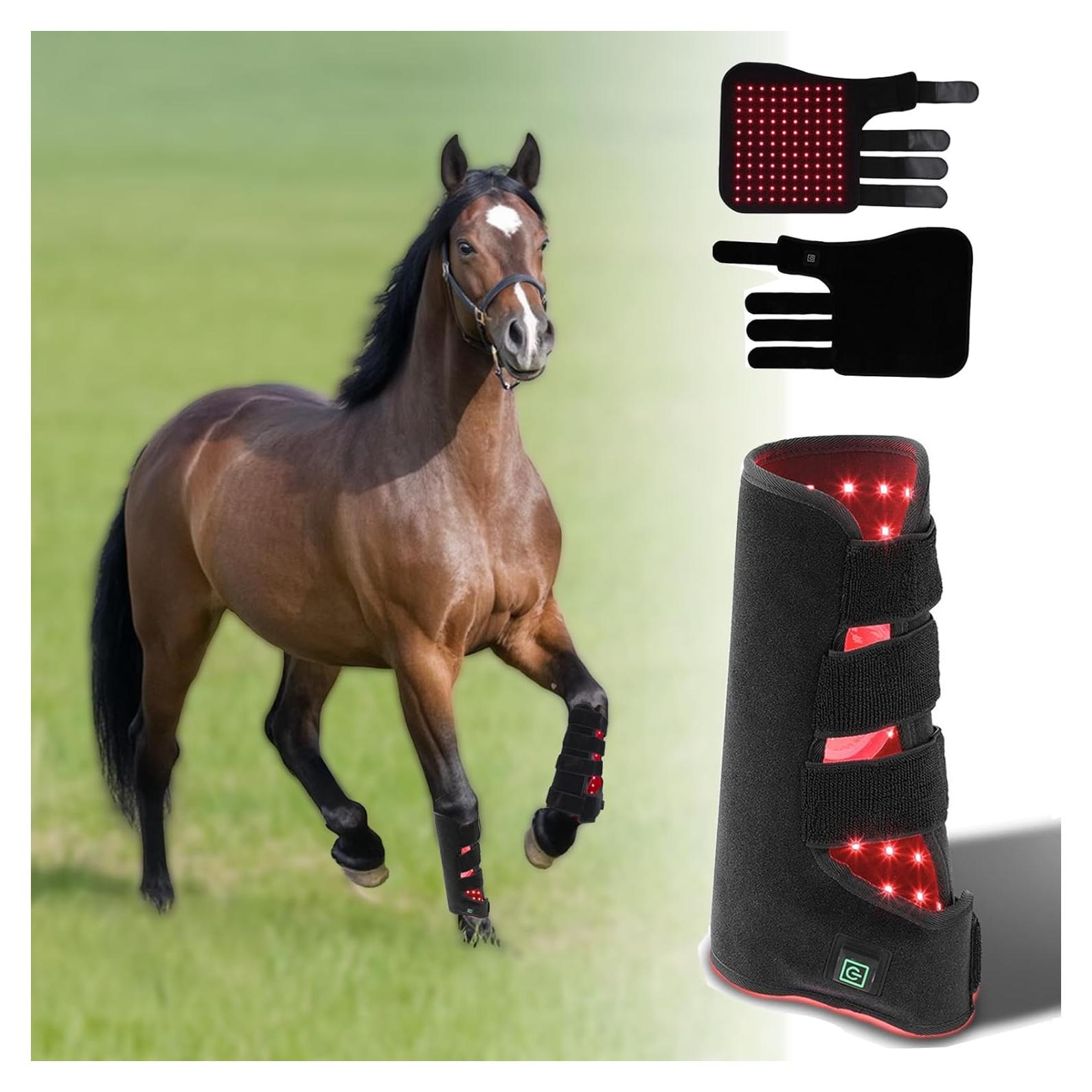 Terapia de Luz Roja para Caballos - Dispositivo LED 660nm/850nm