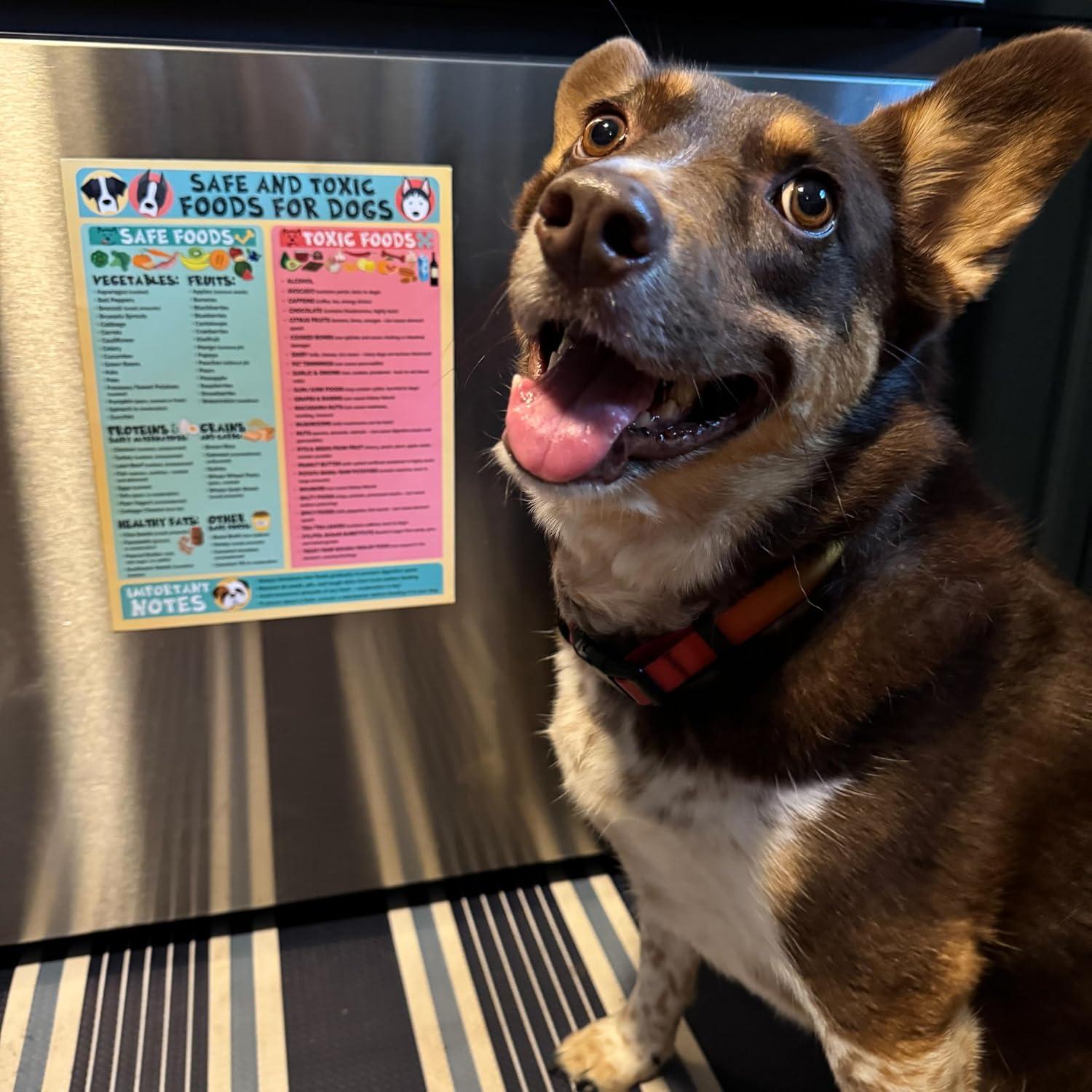 Cartel Imán Alimentos Seguros y Tóxicos para Perros 21.6x27.9 cm