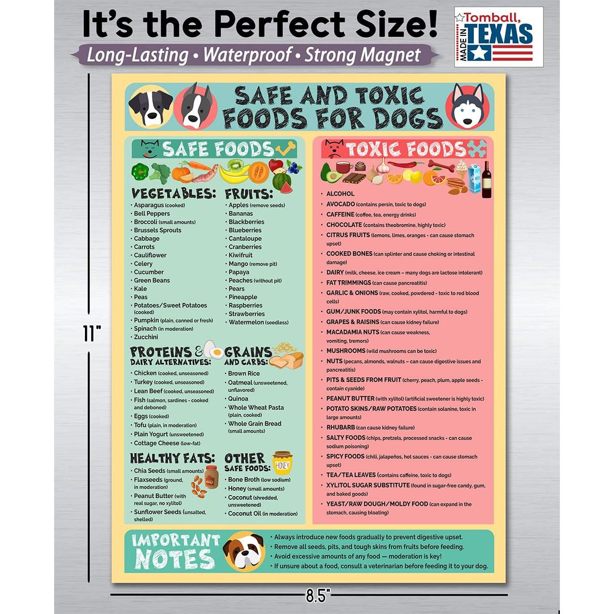 Cartel Imán Alimentos Seguros y Tóxicos para Perros 21.6x27.9 cm