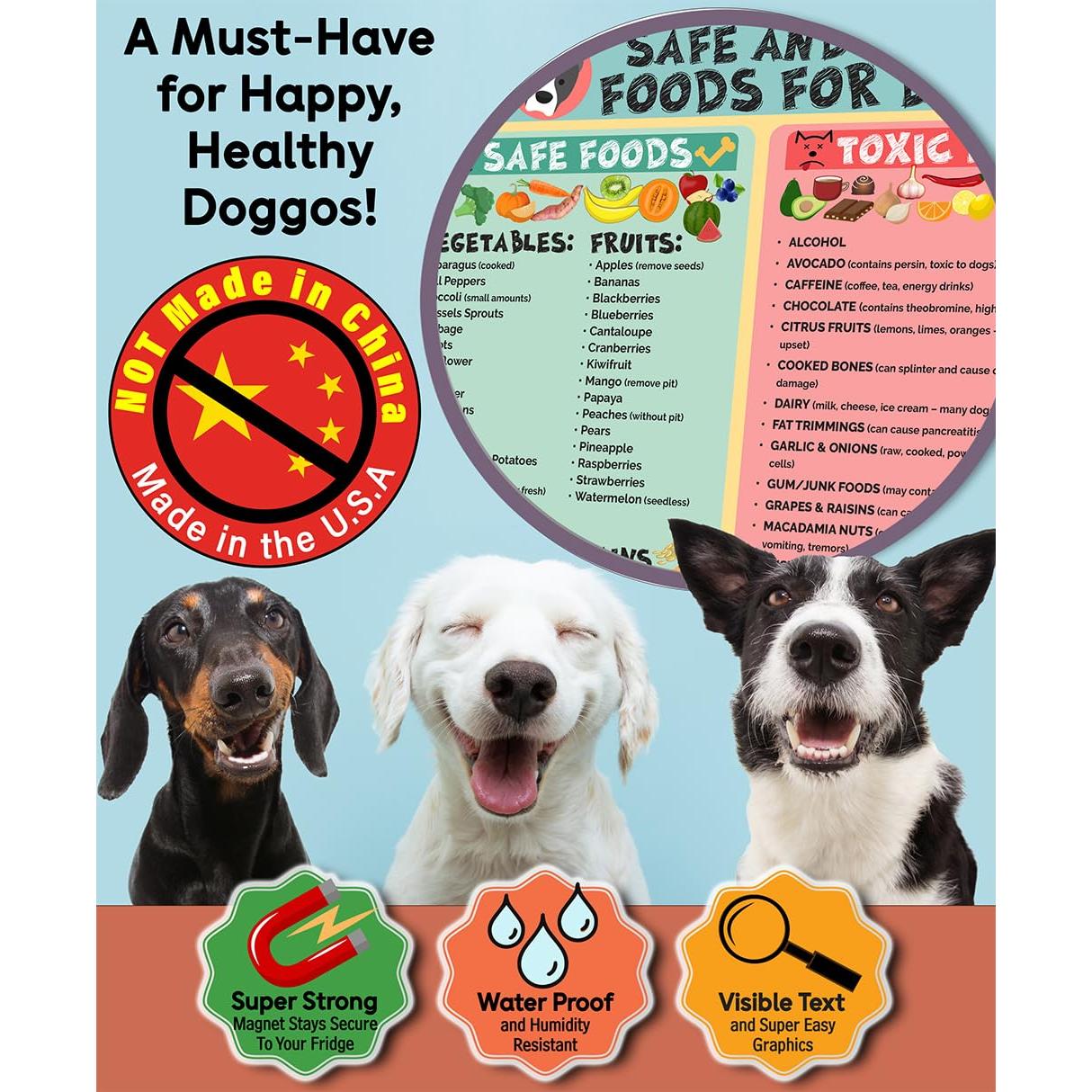 Cartel Imán Alimentos Seguros y Tóxicos para Perros 21.6x27.9 cm